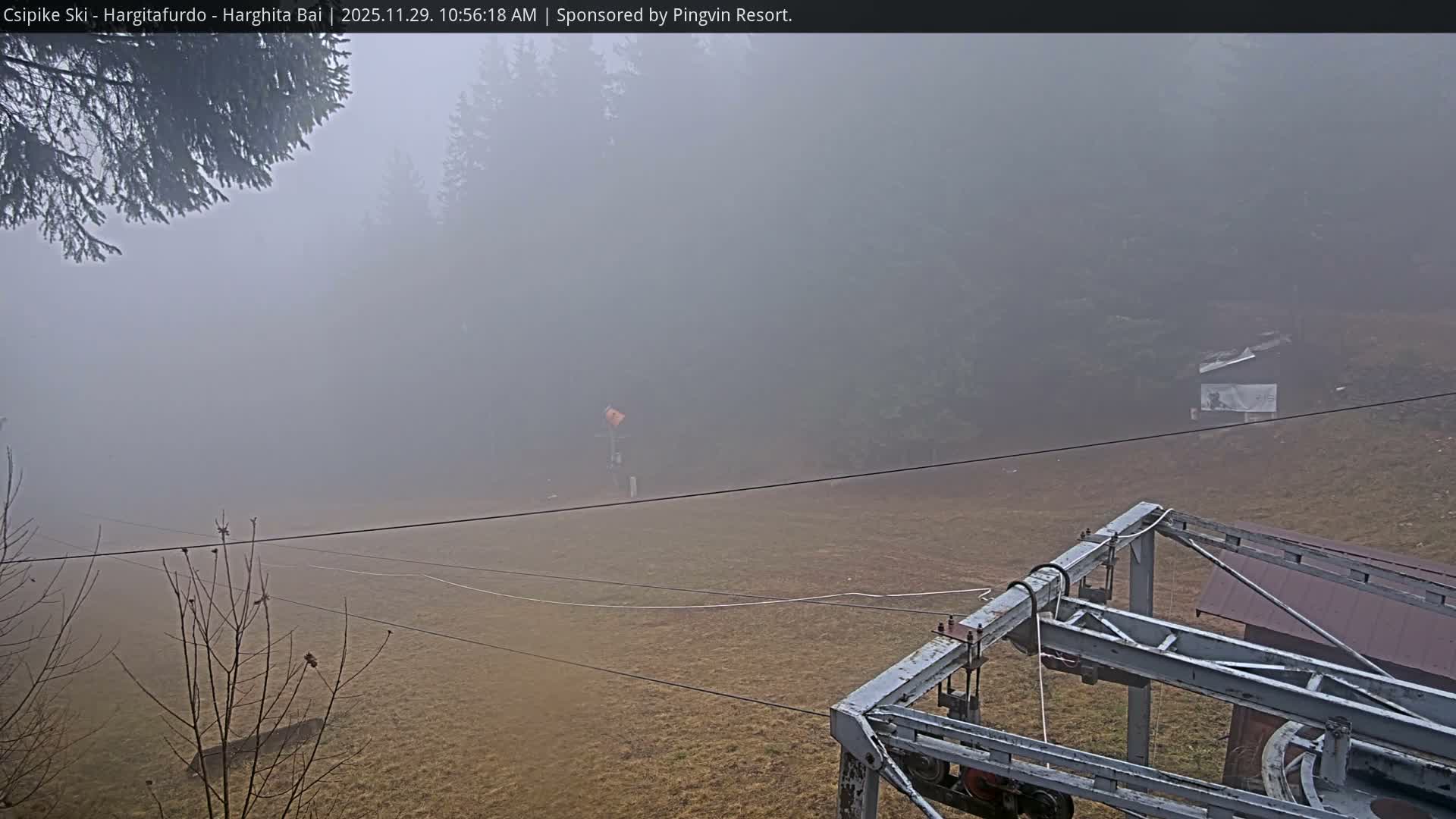Under heavily foggy and overcast conditions, a ski lift mechanism stands in the foreground of a bare, grassy slope leading into a mist-shrouded forest, with utility lines crossing the midground.