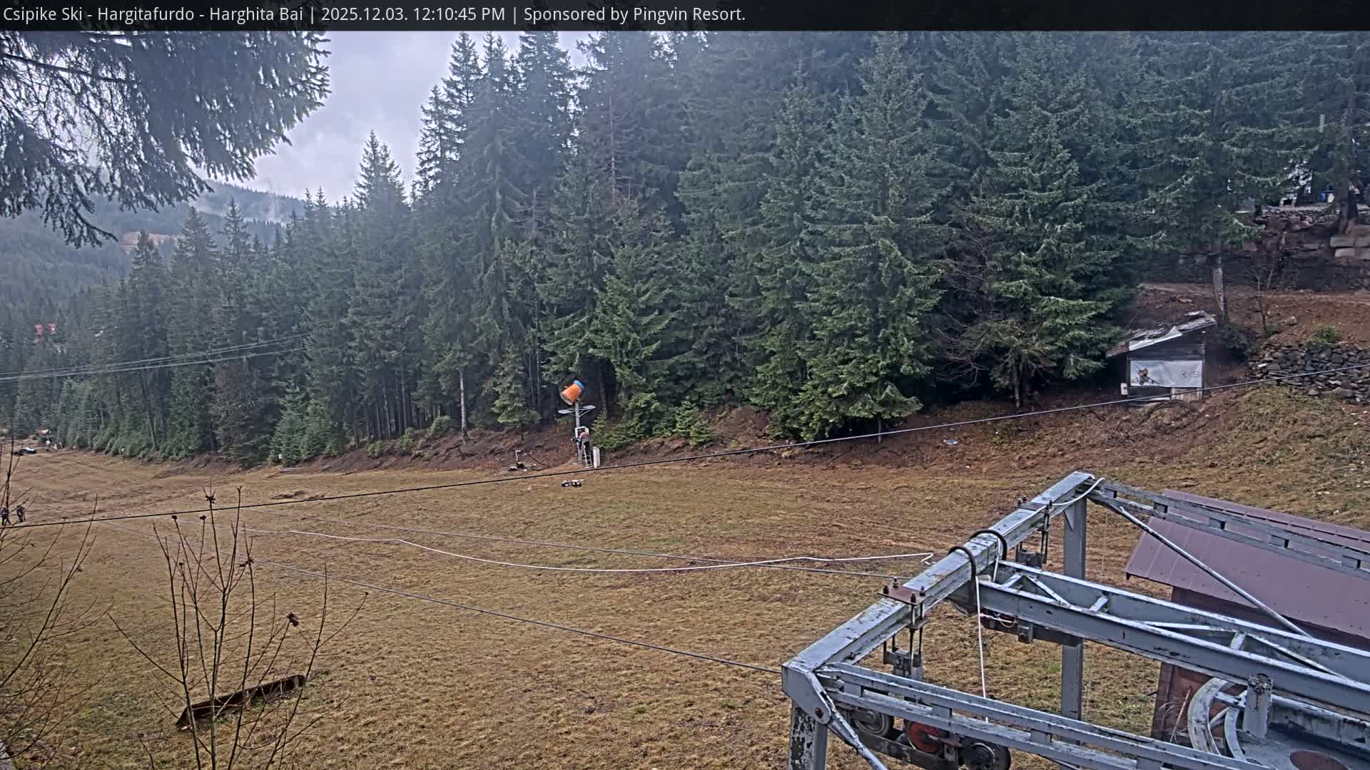 Under an overcast sky, a wide, brown grassy ski slope, devoid of snow, stretches up towards dense evergreen forests and distant hills, with a partial view of a ski lift mechanism in the foreground.