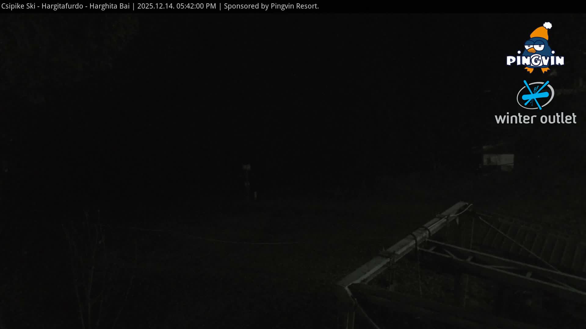 Under an overcast sky, a wide, brown grassy ski slope, devoid of snow, stretches up towards dense evergreen forests and distant hills, with a partial view of a ski lift mechanism in the foreground.