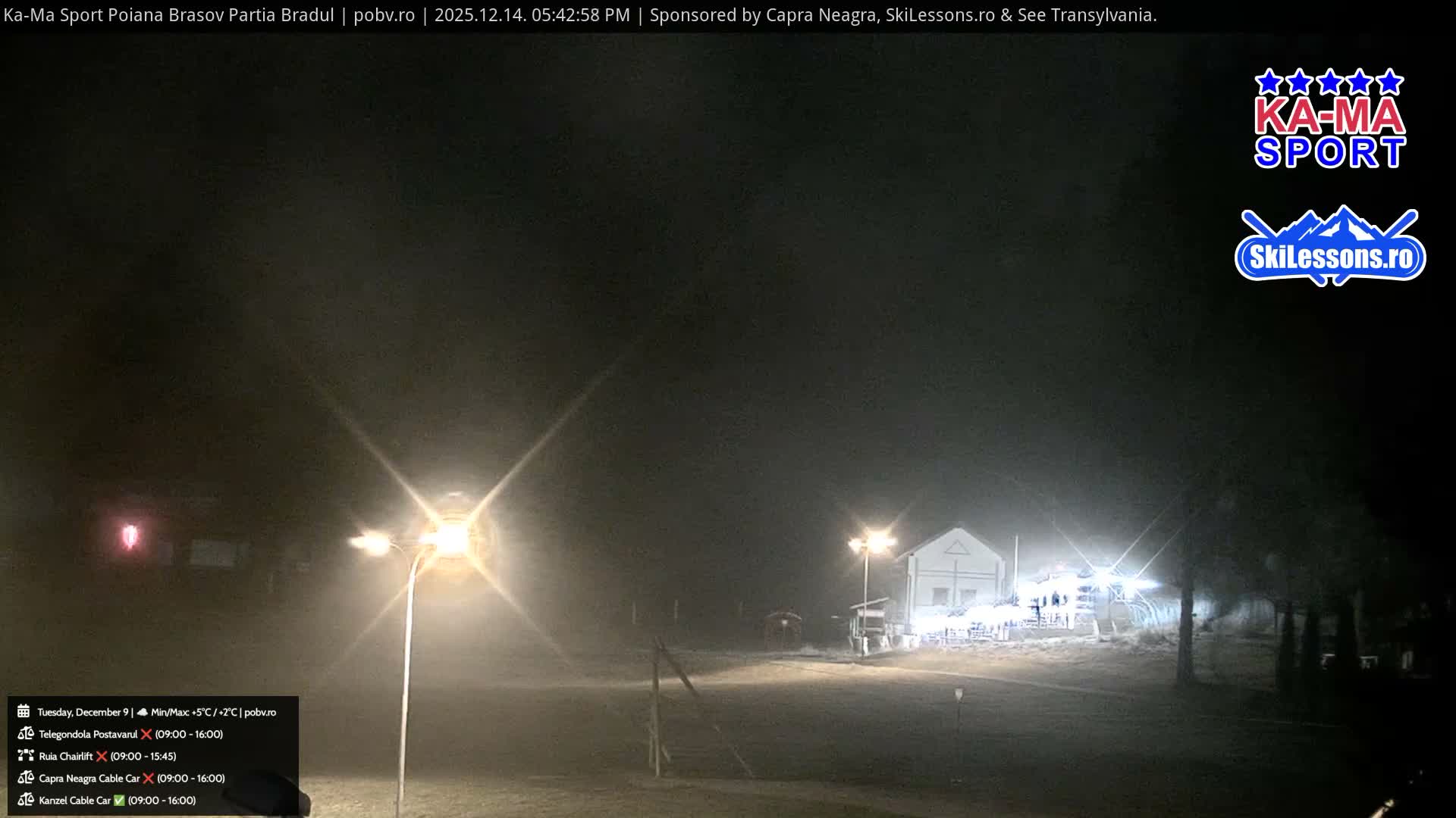 A brown bear stands alertly in a green meadow dotted with wildflowers, with a forest in the background, under clear conditions.