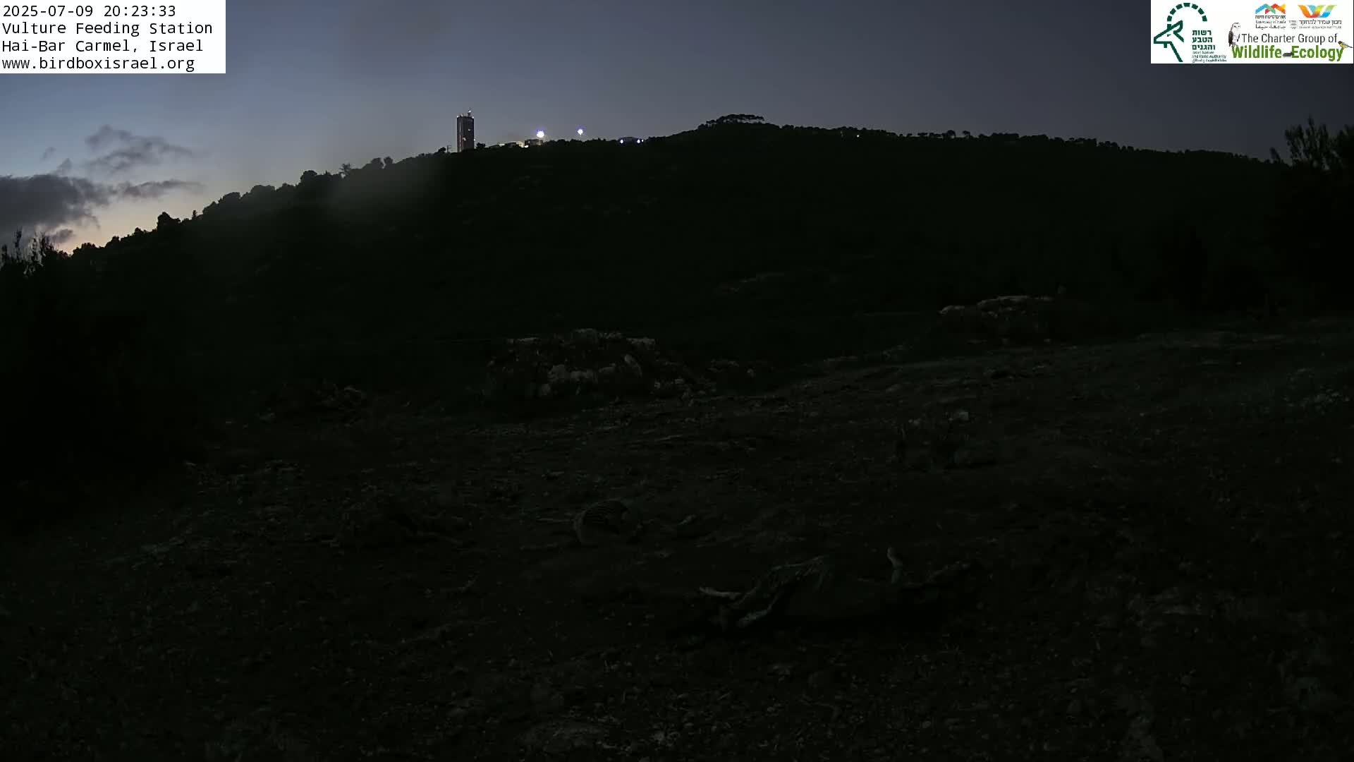 Hai-Bar Nature Reserve / Mount Carmel National Park Vulture Feeding & Skycraper Eshkol University of Haifa  Live Cam - Denya, Haifa, Israel