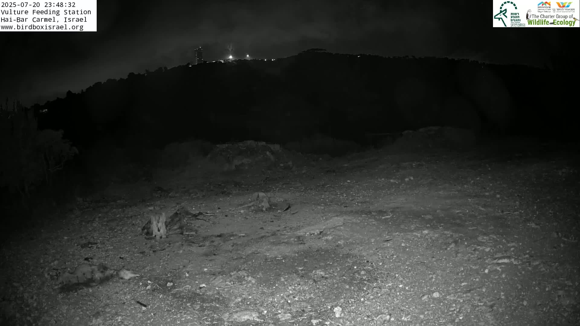 Hai-Bar Nature Reserve / Mount Carmel National Park Vulture Feeding & Skycraper Eshkol University of Haifa  Live Cam - Denya, Haifa, Israel