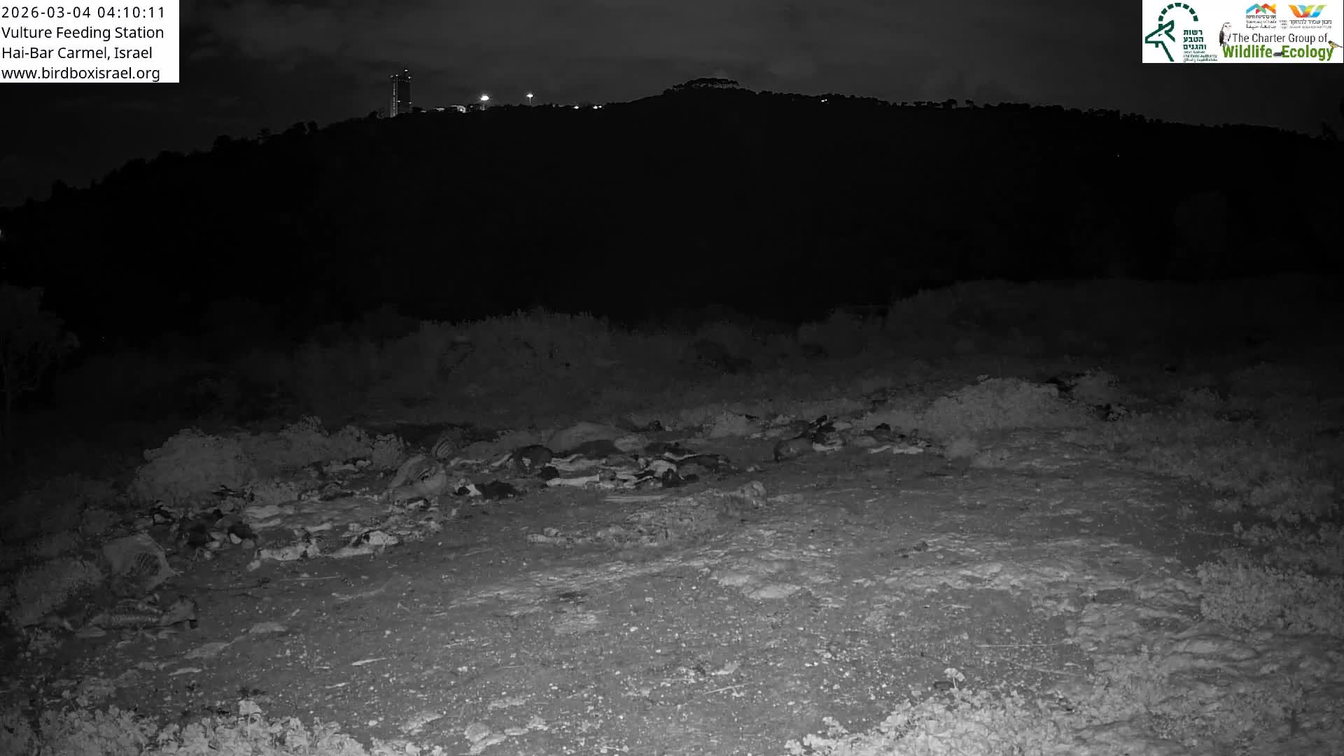 Hai-Bar Nature Reserve / Mount Carmel National Park Vulture Feeding & Skycraper Eshkol University of Haifa  Live Cam - Denya, Haifa, Israel