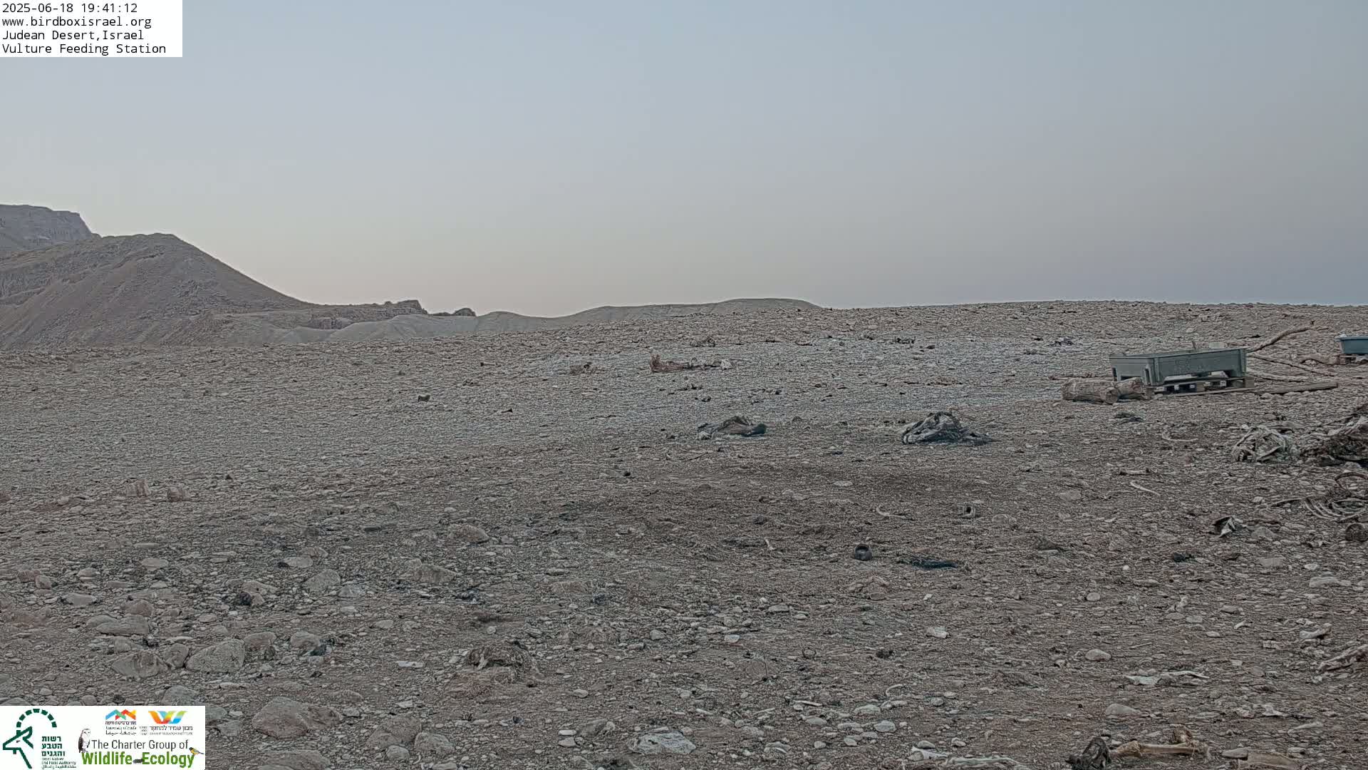A rocky, barren landscape under a hazy sky, with a few scattered containers and animal remains.