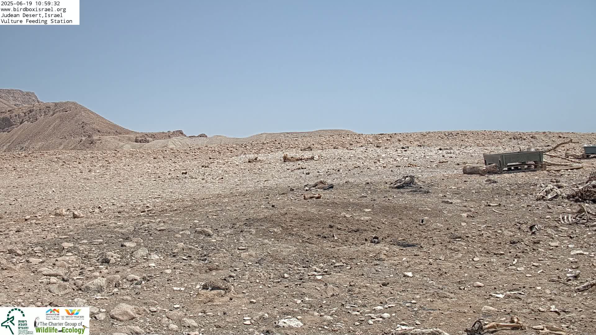A rocky, arid desert landscape under a clear blue sky, scattered with animal carcasses and a few containers.