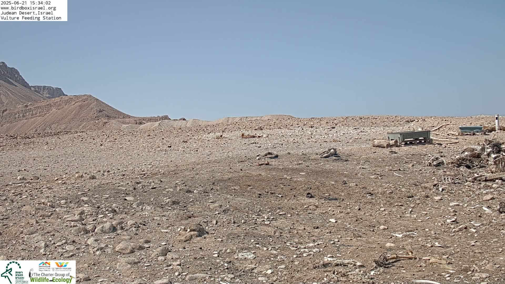 A rocky, arid desert landscape under a clear sky features scattered animal bones near several gray containers.