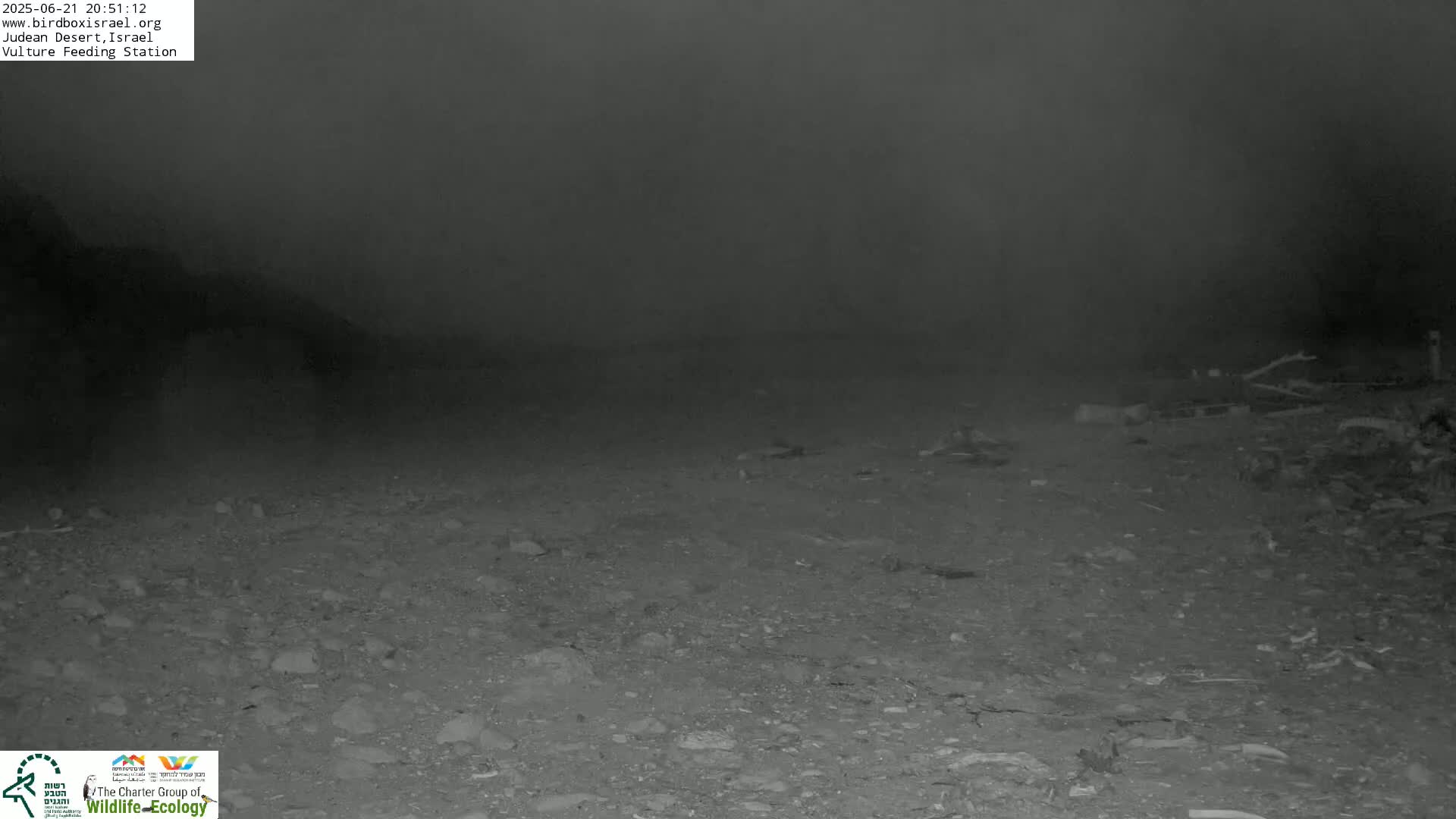 A dark, rocky ground is visible under a hazy, nighttime sky.