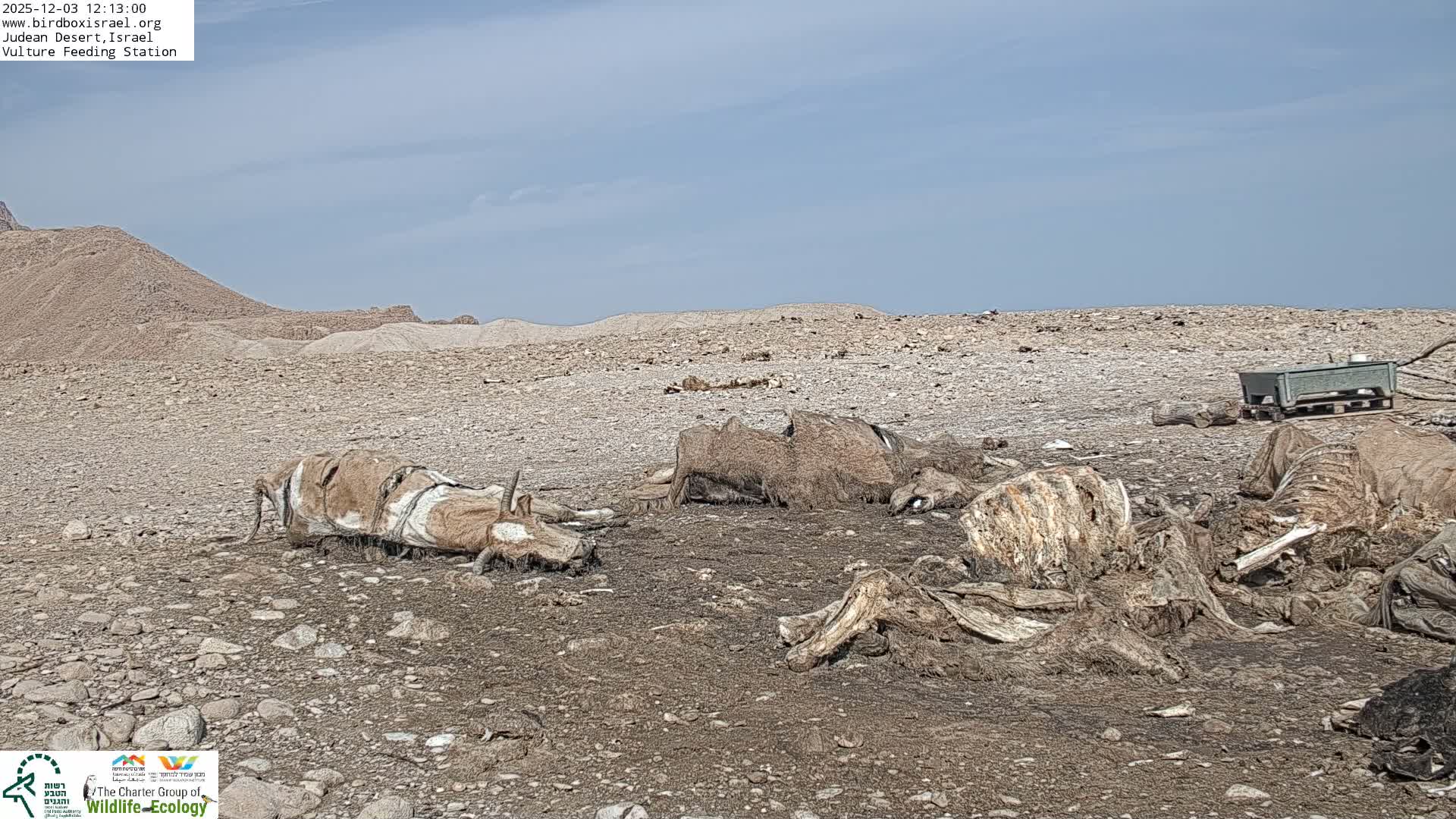 A barren, rocky desert landscape under a clear, sunny sky features several large animal carcasses in various states of decomposition, with a green trough in the background.