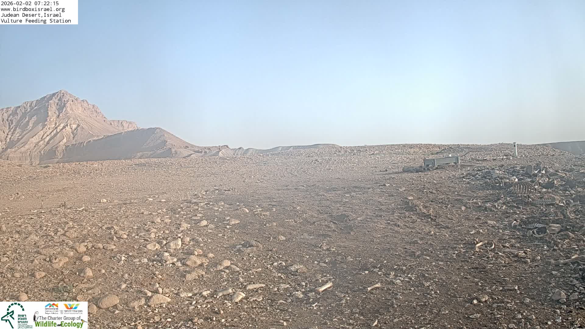Midbar Yehuda (Judean Desert) Vulture Feeding Live Cam - Ubeidiya, Bethlehem, Palestine