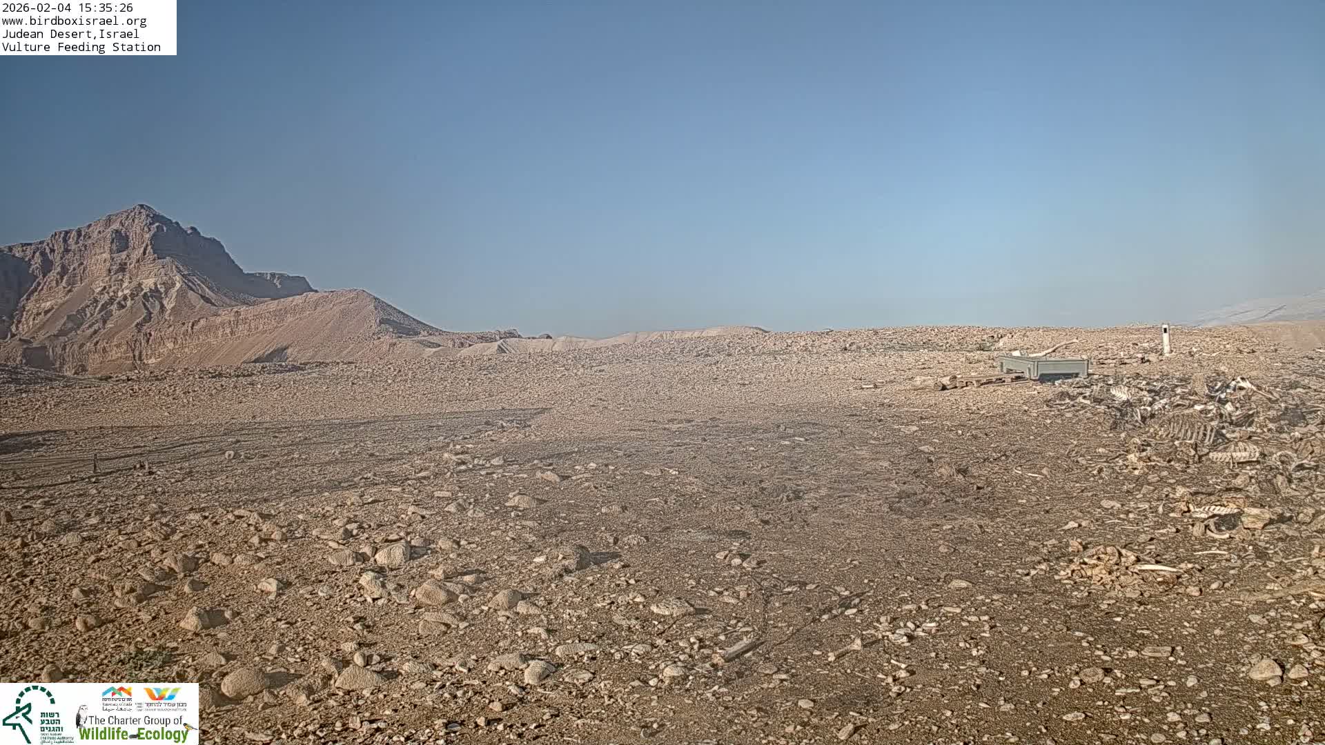 Midbar Yehuda (Judean Desert) Vulture Feeding Live Cam - Ubeidiya, Bethlehem, Palestine