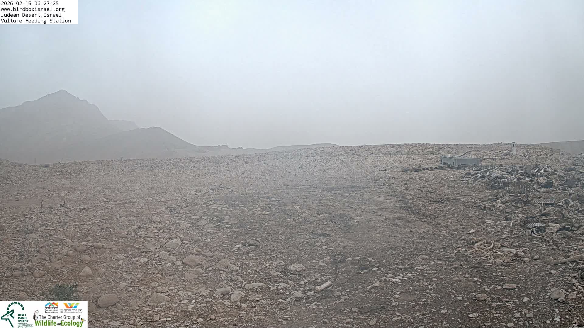 Midbar Yehuda (Judean Desert) Vulture Feeding Live Cam - Ubeidiya, Bethlehem, Palestine