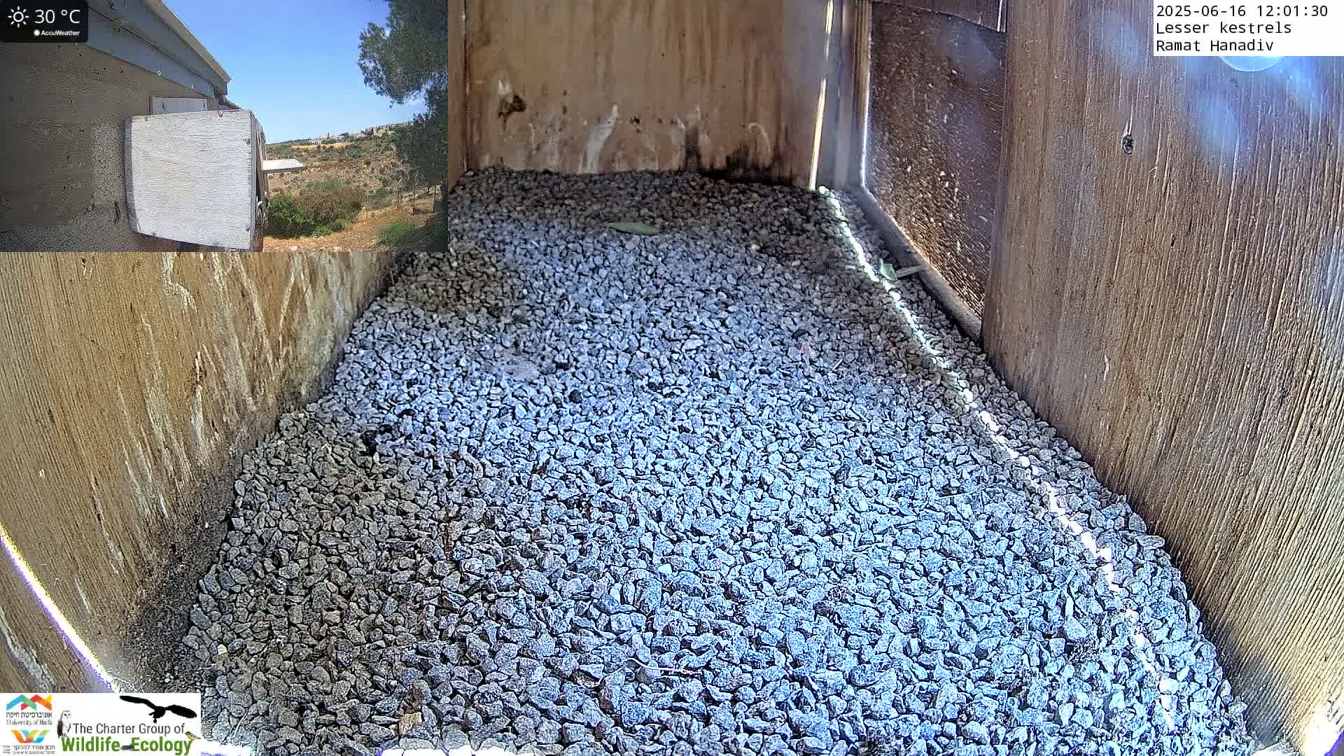 The interior of a birdhouse, filled with a layer of small gray gravel, is shown on a sunny day.