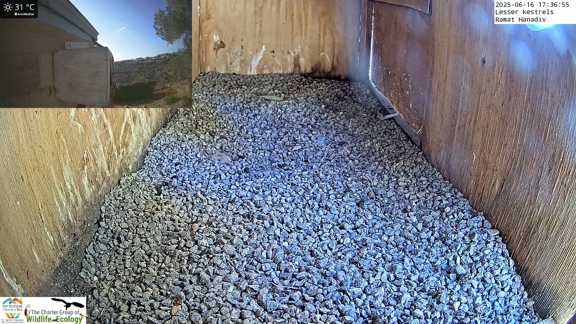 A wooden box is filled with small, gray rocks, and a clear, sunny sky is visible in a smaller image inset.