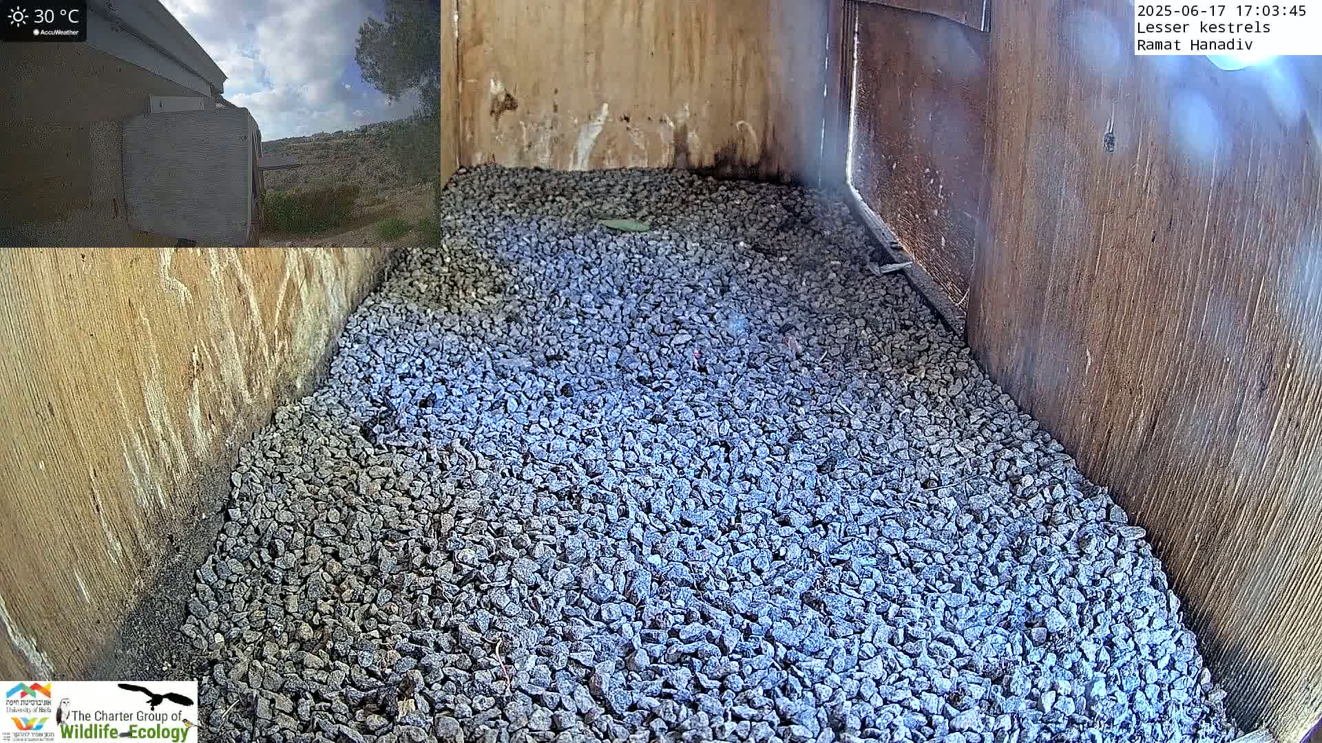 A wooden box's interior is filled with grey gravel, and a small portion of a sunny, partly cloudy outdoor scene is visible in the upper left corner.