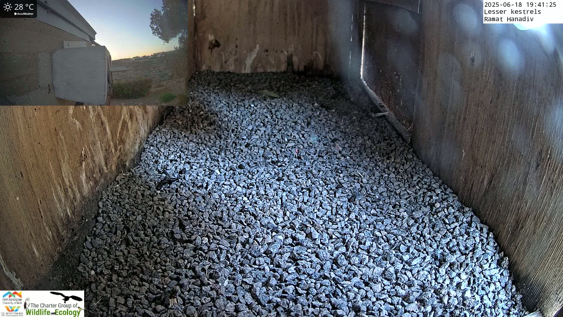 The interior of a birdhouse is filled with a layer of small, dark-grey gravel; a view outside shows a clear, twilight sky.