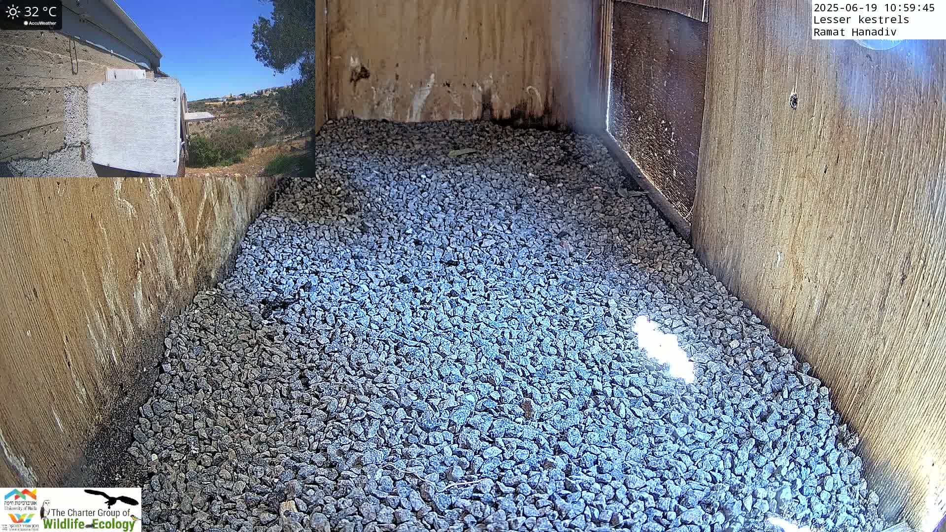 The interior of a birdhouse is filled with small, gray gravel under a sunny, 32°C sky.