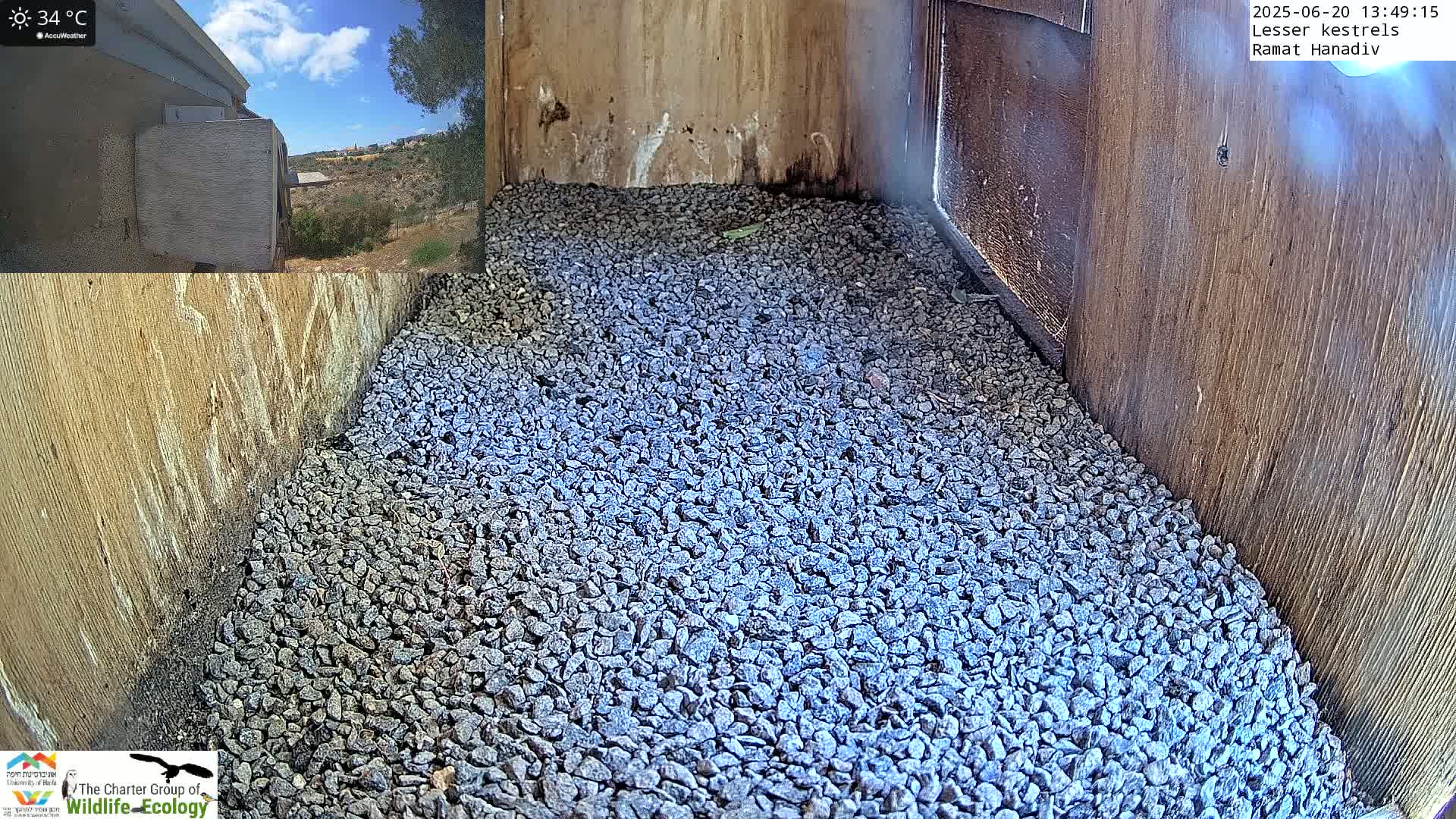 A wooden birdhouse interior filled with gray gravel is shown under sunny skies with a temperature of 34°C.