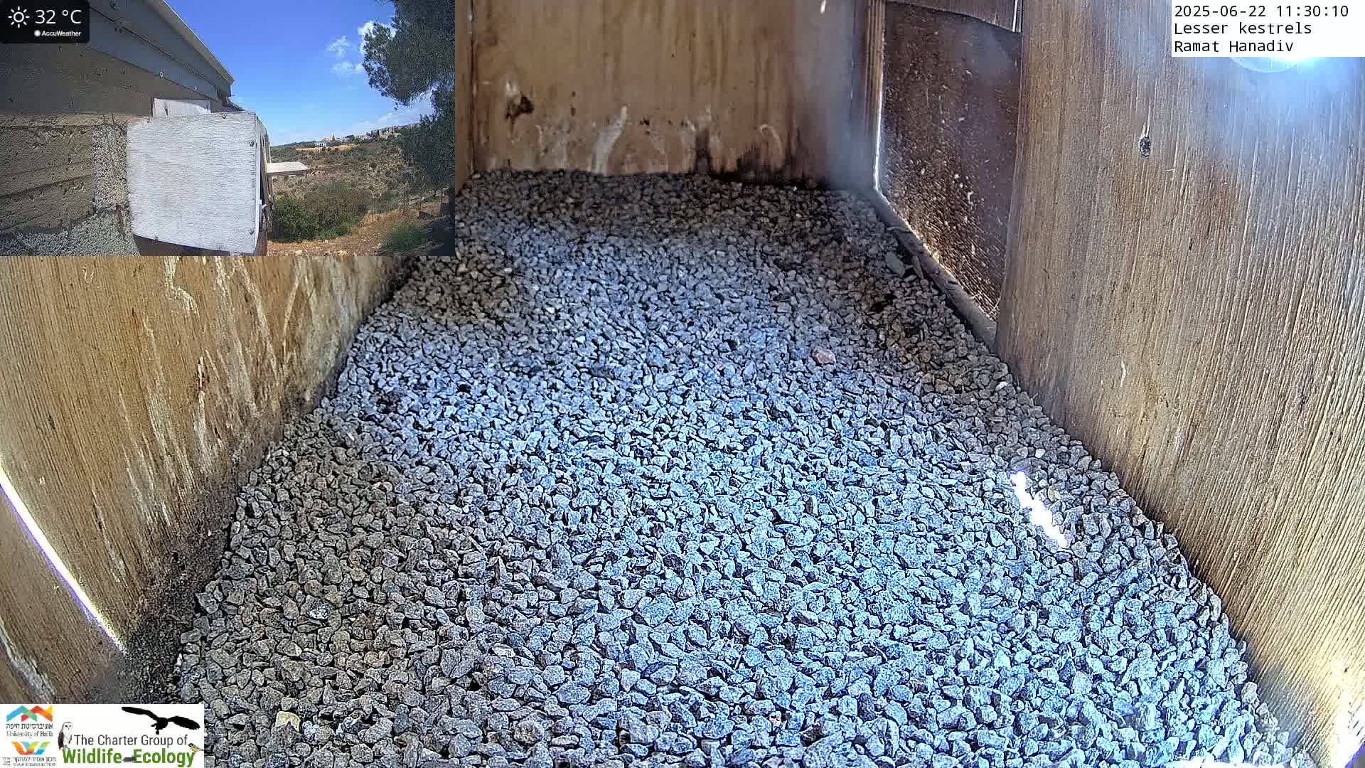 The interior of a wooden birdhouse shows a floor covered with gray gravel under a sunny sky.
