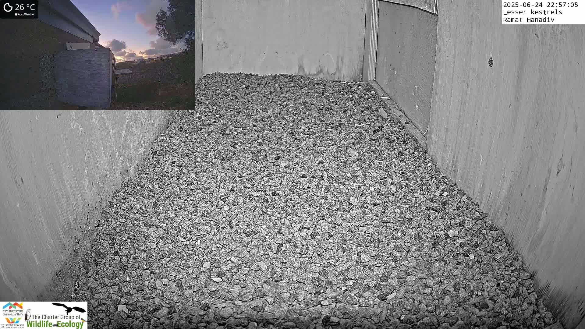 A gray, gravel-covered floor is nestled within a corner of a light gray, concrete enclosure, with an inset image showing a sunset sky at 26°C.