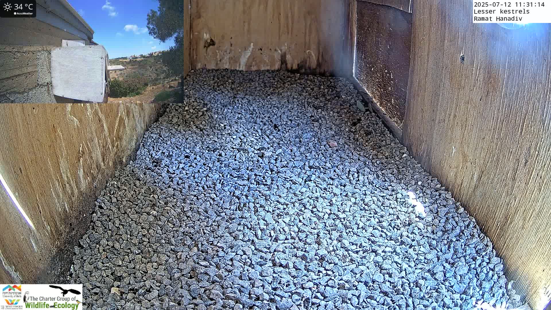 A wooden box's interior is filled with grey gravel, under a sunny sky.