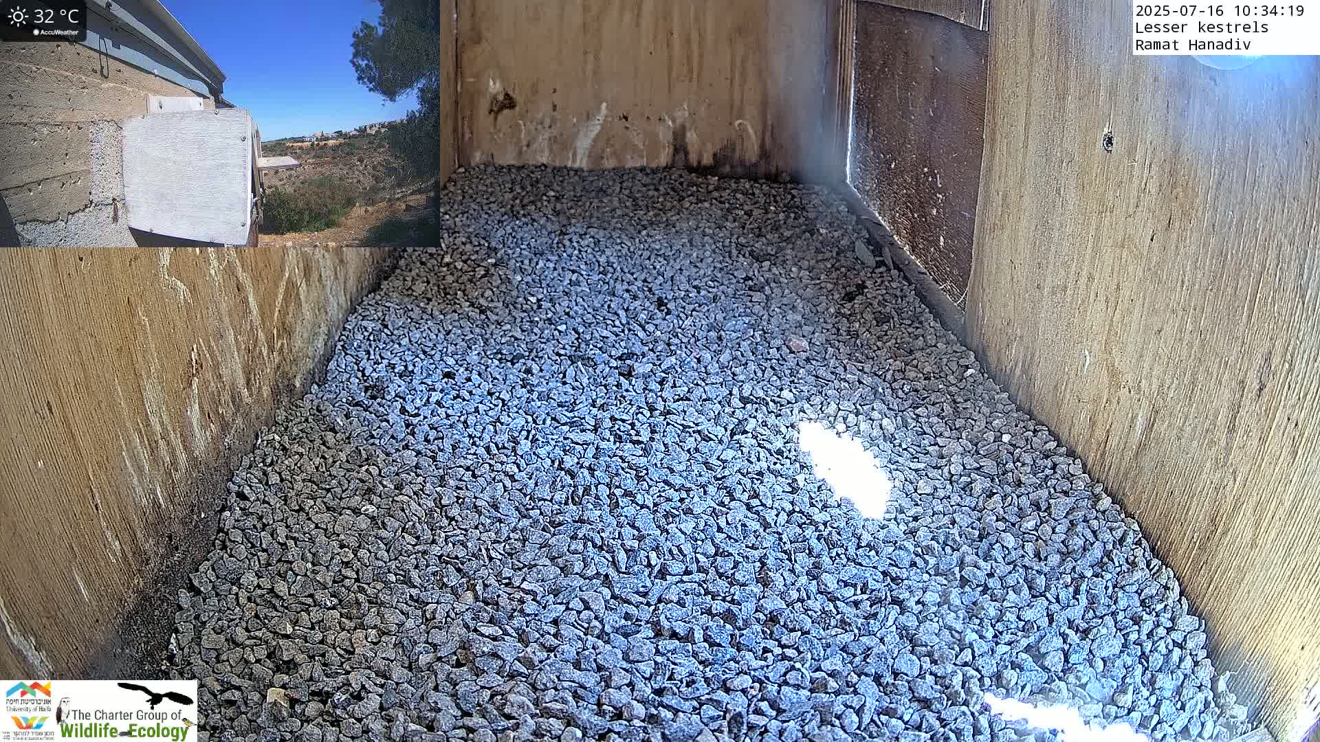 A wooden birdhouse interior is filled with a layer of gray gravel under a sunny, 32°C sky.
