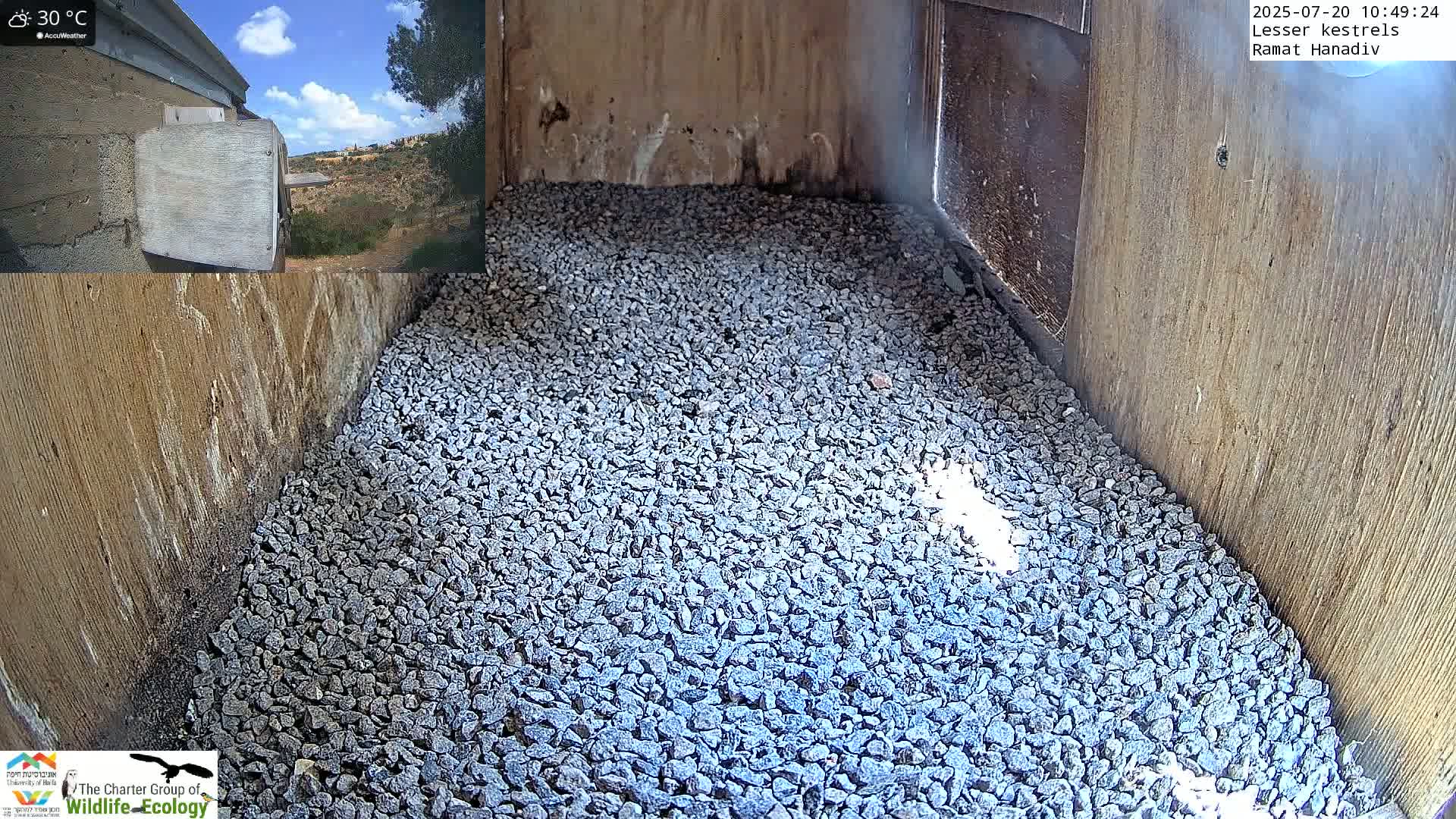 The interior of a wooden birdhouse is filled with a layer of gray gravel, and a view outside shows a sunny day with some clouds.