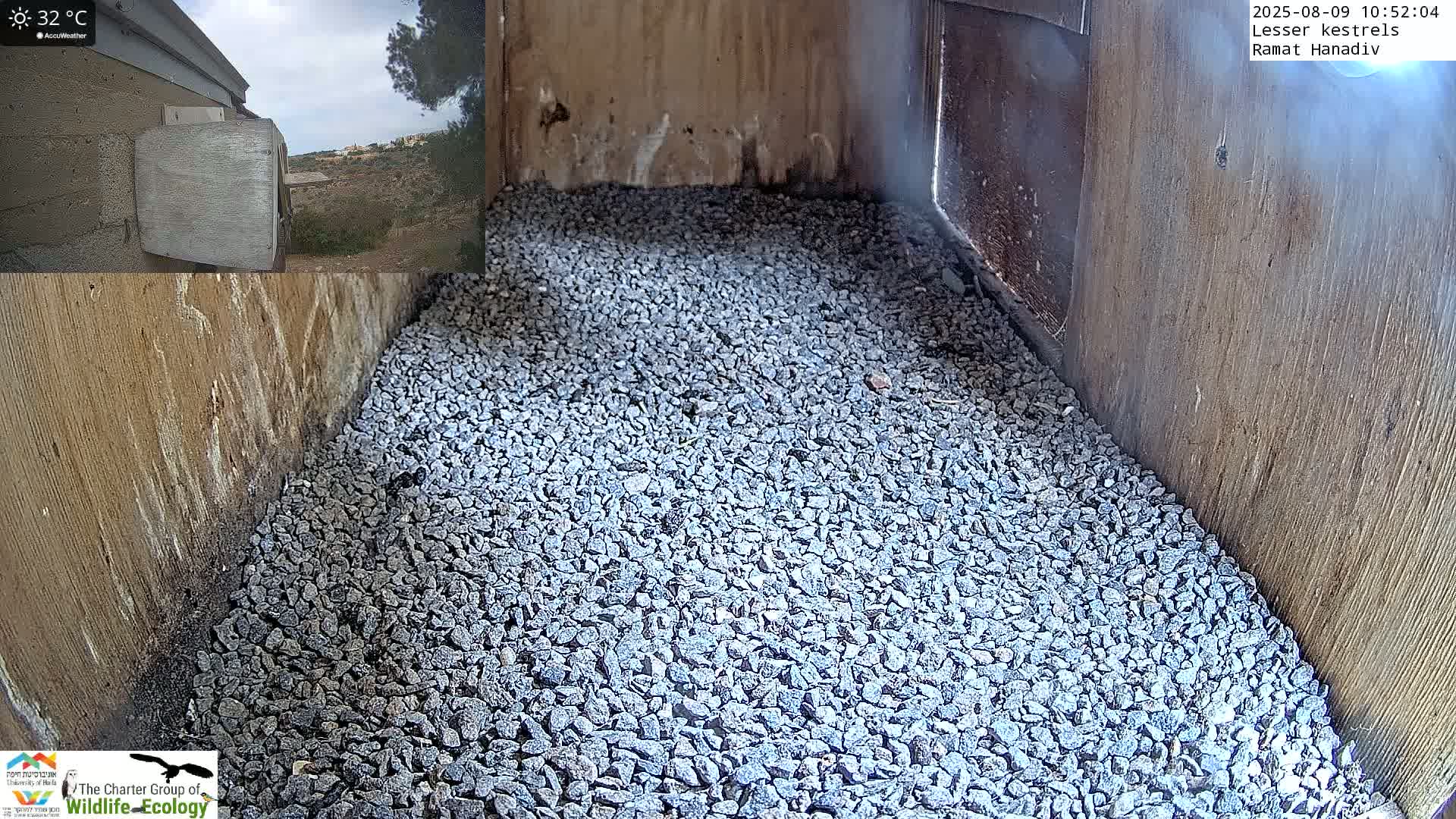 The interior of a birdhouse, filled with small grey gravel, is shown on a partly cloudy day with an outdoor temperature of 32°C.