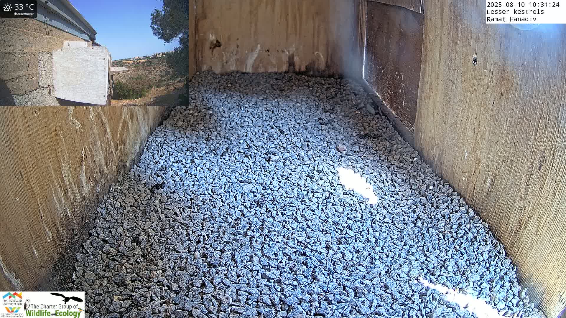 The interior of a wooden birdhouse is shown, filled with a layer of gray gravel, under a sunny 33°C sky.