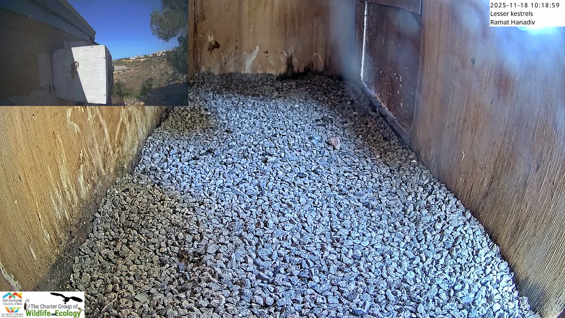 An empty, weathered wooden nesting box is largely filled with grey gravel, and an inset in the upper left corner shows a sunny, clear blue sky over a distant hilly landscape.
