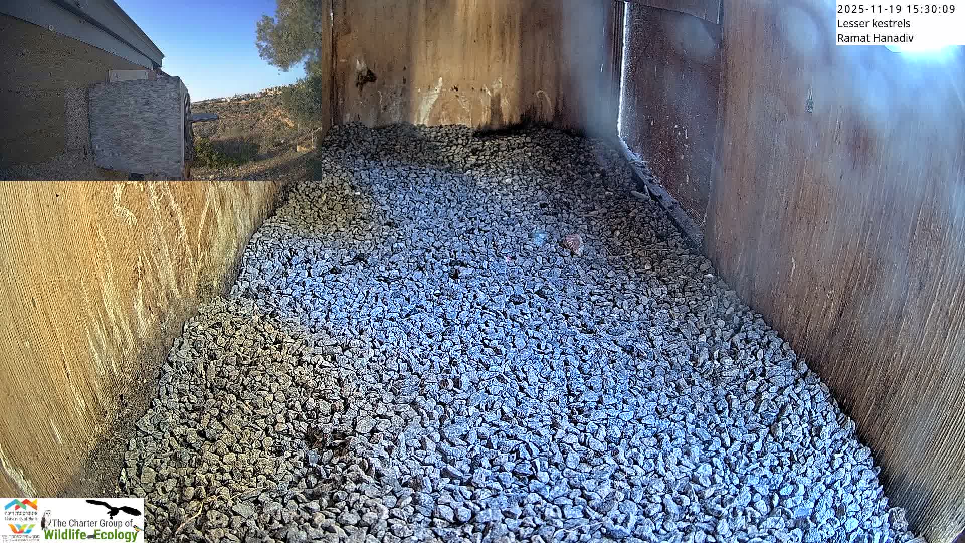 An empty, weathered wooden nesting box is largely filled with grey gravel, and an inset in the upper left corner shows a sunny, clear blue sky over a distant hilly landscape.
