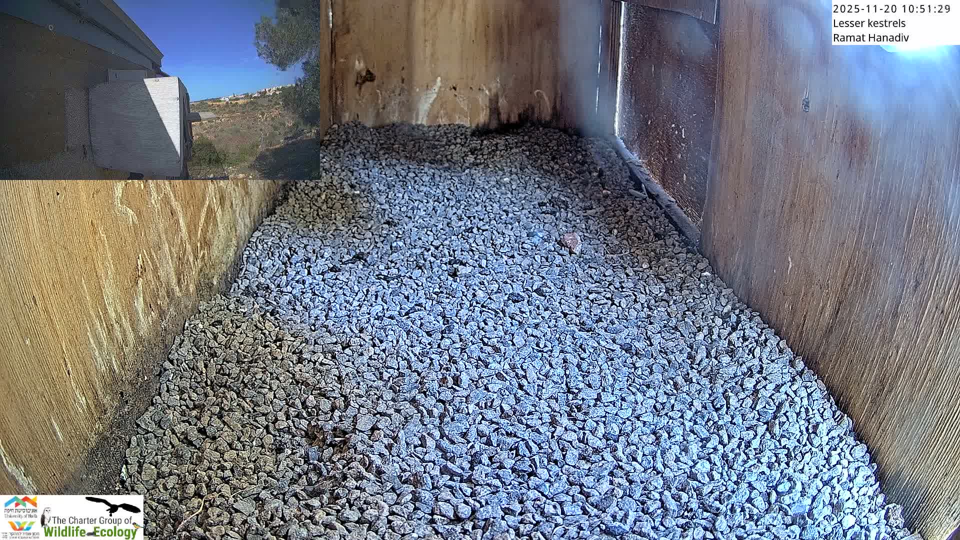 The main view shows the interior of a wooden structure with its floor entirely covered in small grey gravel, while an inset in the top-left reveals a sunny, clear blue sky over a distant arid hillside.