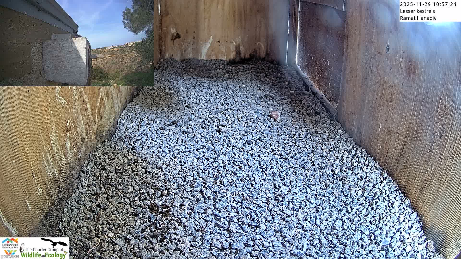A wooden nest box interior, filled with small grey gravel, is presented alongside an inset showing its exterior mounted on a building overlooking a sunny, hilly landscape under a clear blue sky.