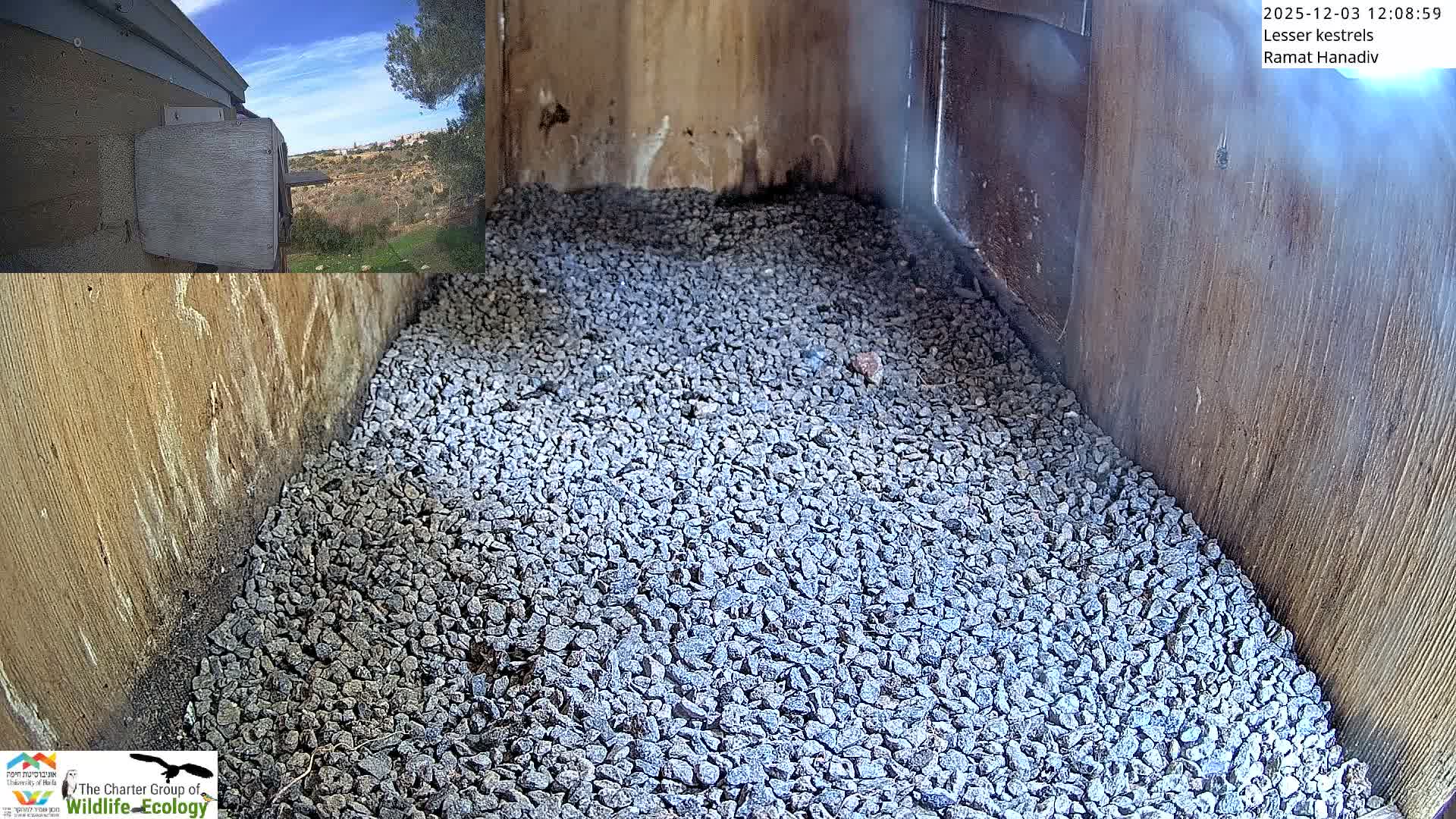 The image displays the gravel-filled interior of a wooden nesting structure, with a smaller inset image revealing a clear, sunny outdoor view of a dry, hilly landscape.