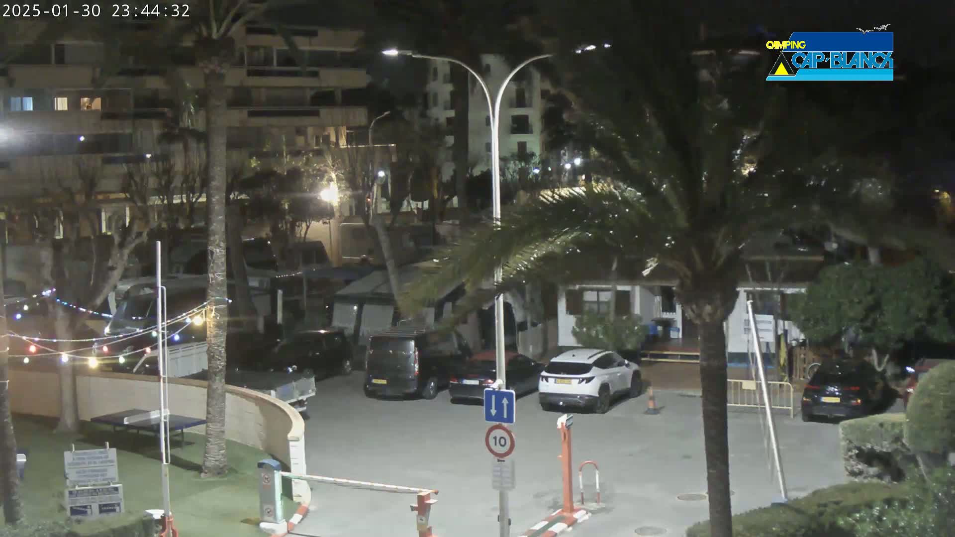 A nighttime view of a parking lot with several cars and RVs, surrounded by palm trees and buildings, under clear skies.