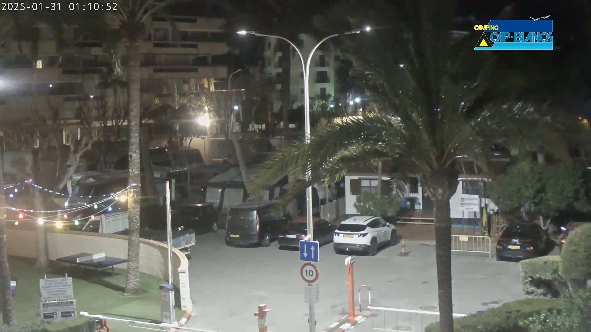 A nighttime parking lot with several cars parked, surrounded by palm trees and buildings, under a clear sky.