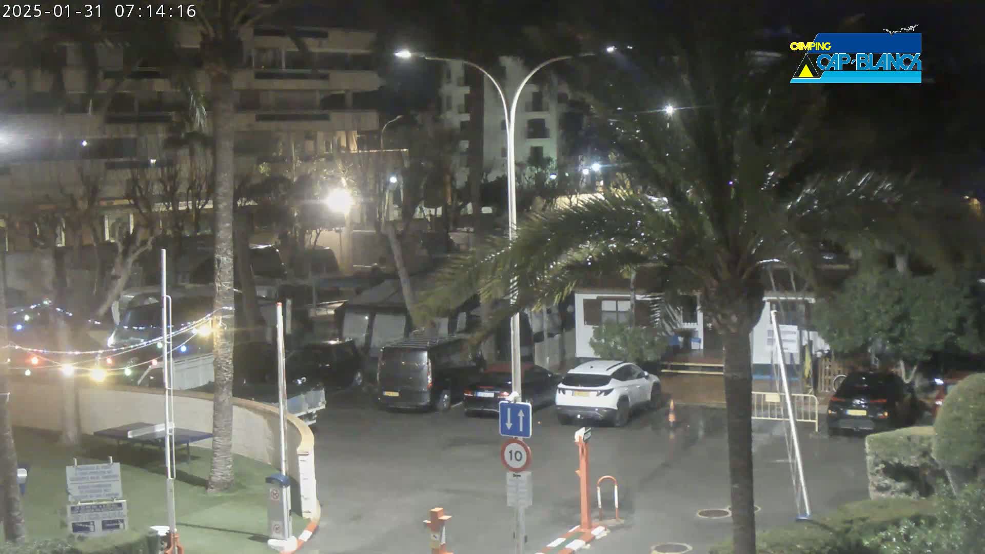A nighttime scene of a parking lot with several cars and palm trees under a light rain.