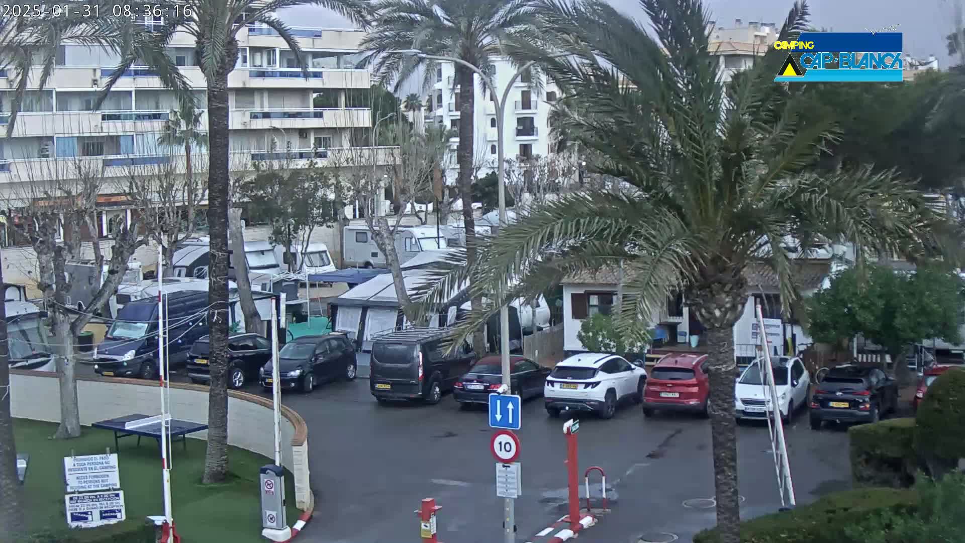 A parking lot filled with camper vans and cars under an overcast sky, adjacent to a multi-story building and palm trees.