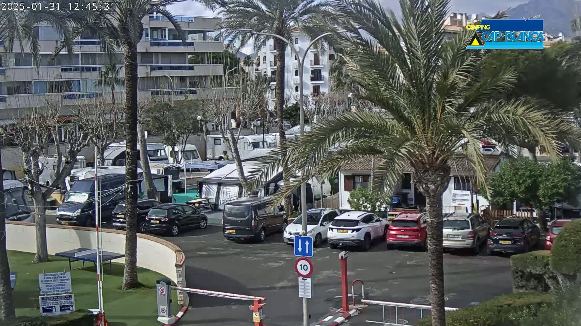 A sunny day reveals a parking lot filled with campervans and cars, nestled amongst palm trees and apartment buildings.