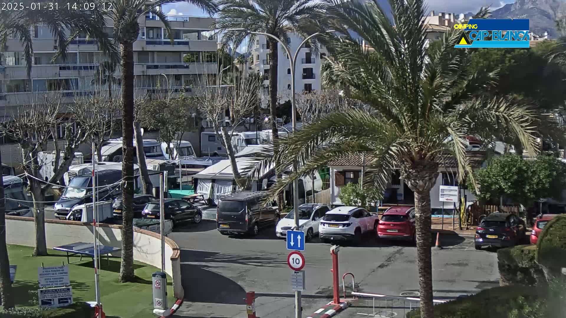 A sunny day at a campground with numerous RVs and cars parked in a lot, surrounded by palm trees and buildings.
