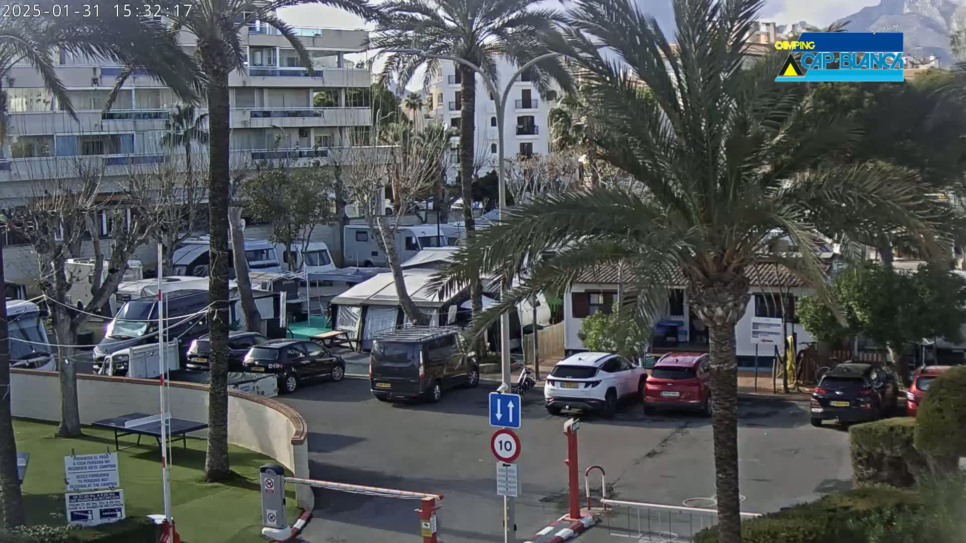A sunny day in a campground with numerous RVs and cars parked, situated near buildings and palm trees.