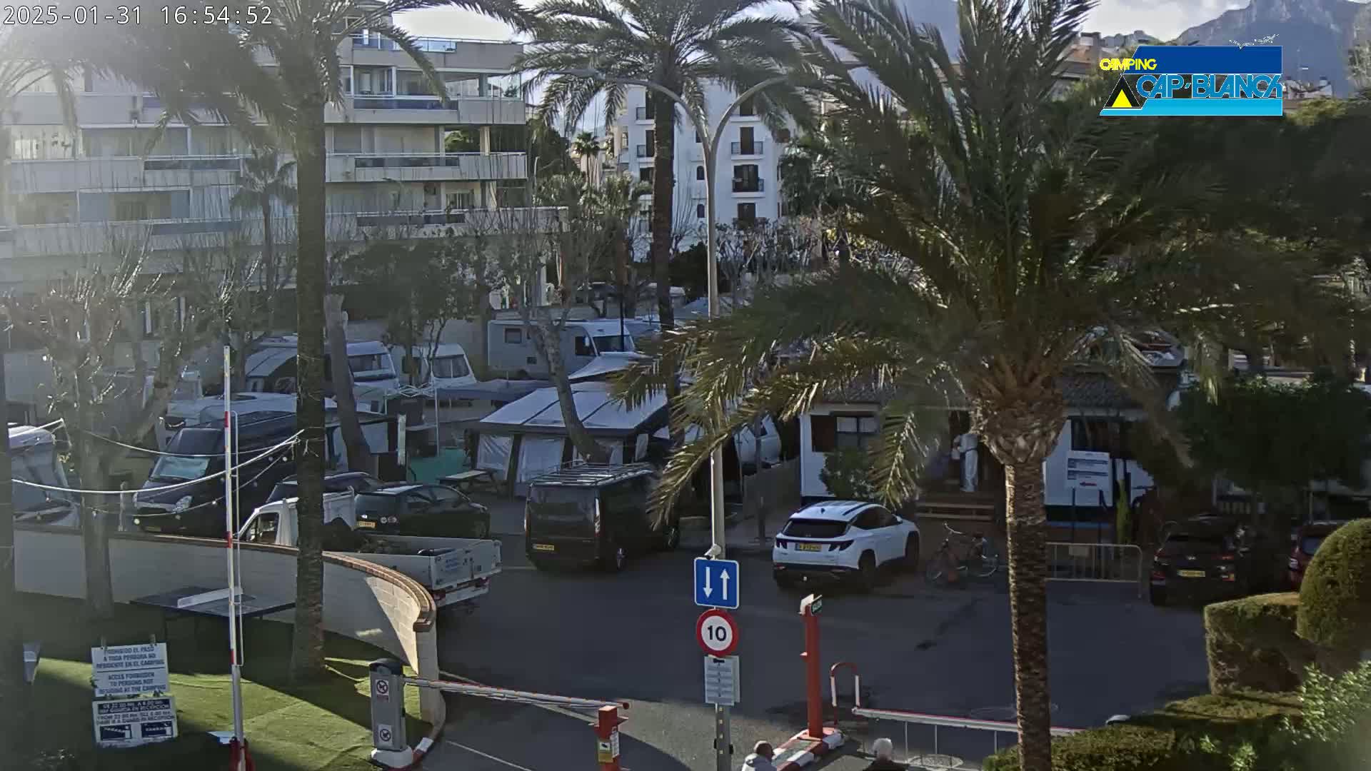 A sunny day reveals a parking lot filled with campervans and cars next to a building, with palm trees and other vegetation surrounding the area.