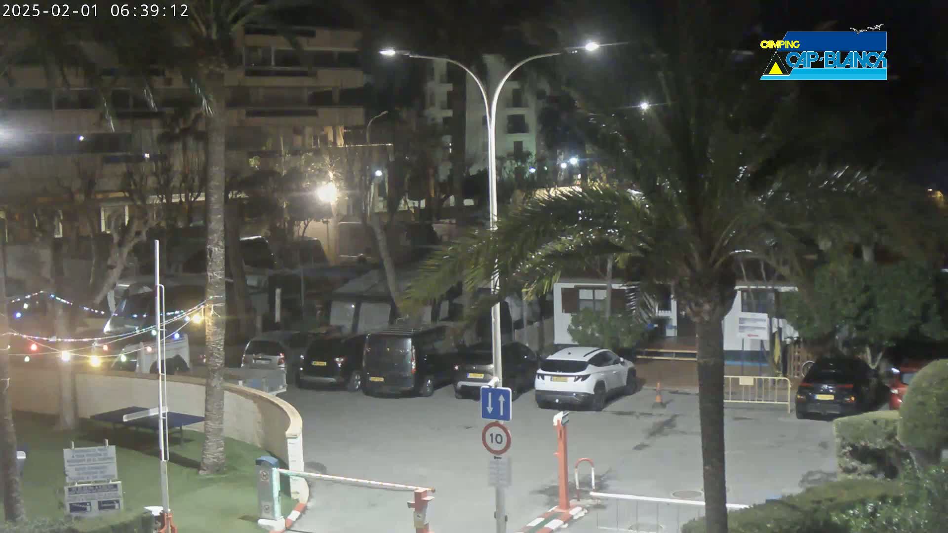 A nighttime view of a parking lot with several cars parked, surrounded by palm trees and buildings, under artificial lights.