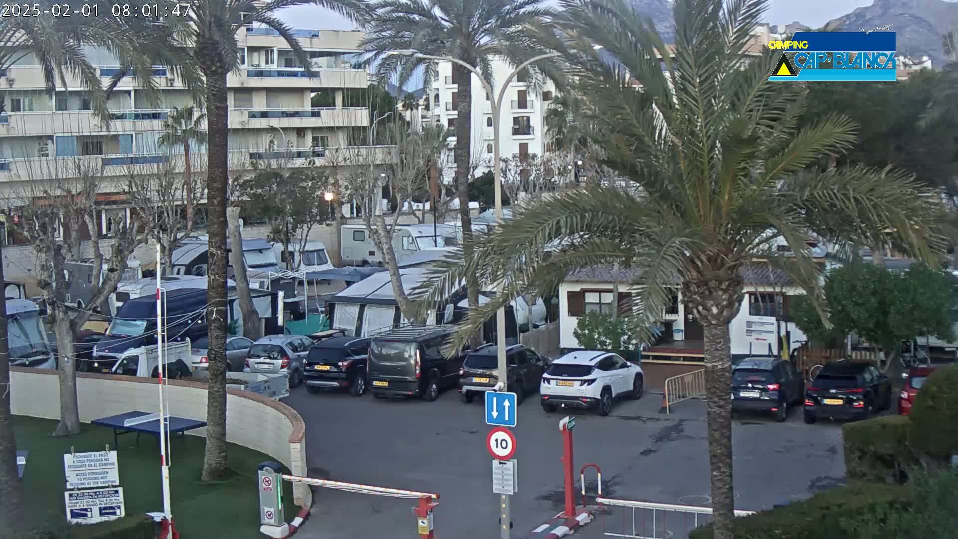 A parking lot filled with RVs and cars is nestled between palm trees and apartment buildings under an overcast sky.
