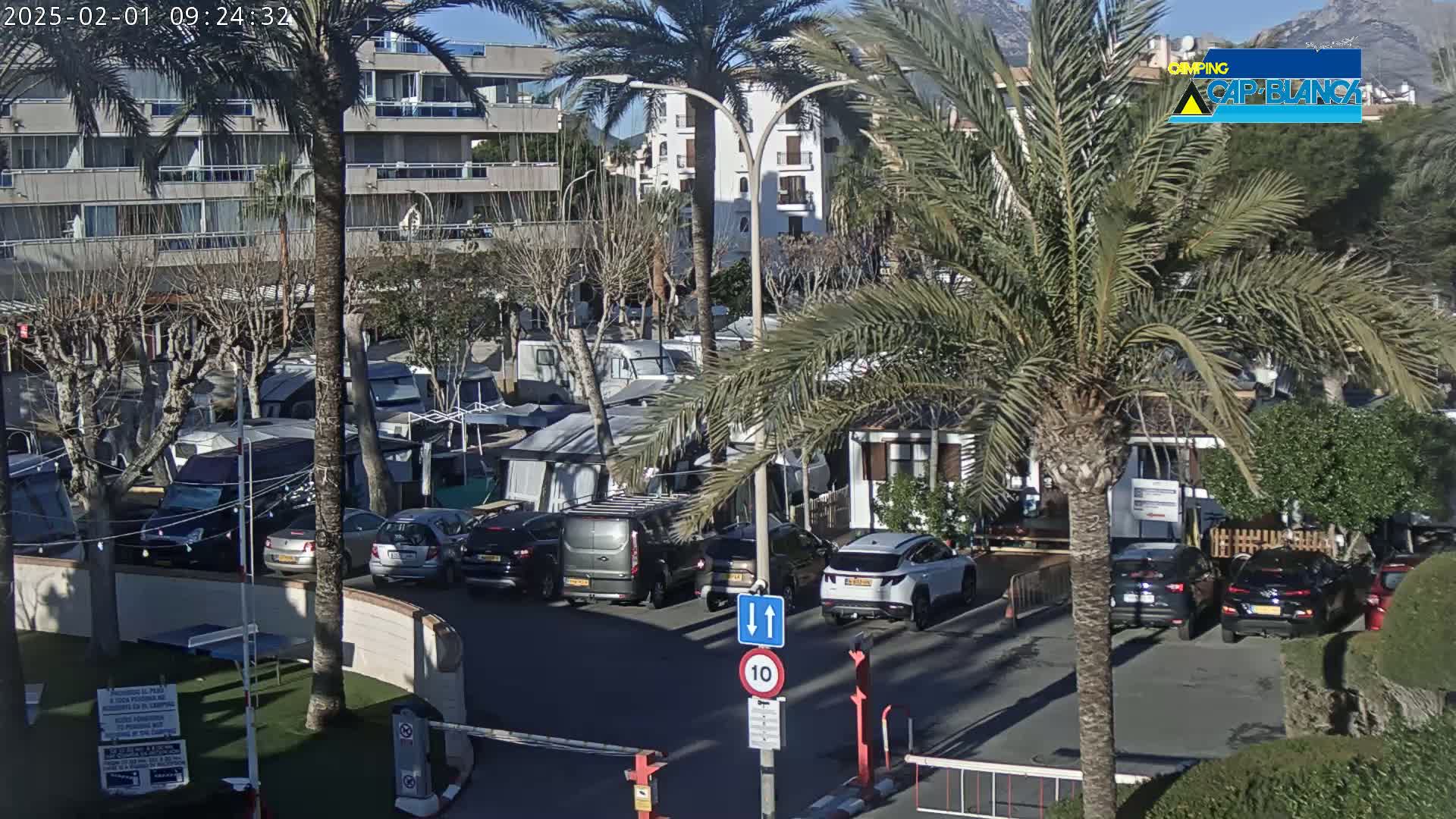 A sunny day in a parking lot filled with campervans and cars, surrounded by palm trees and apartment buildings.