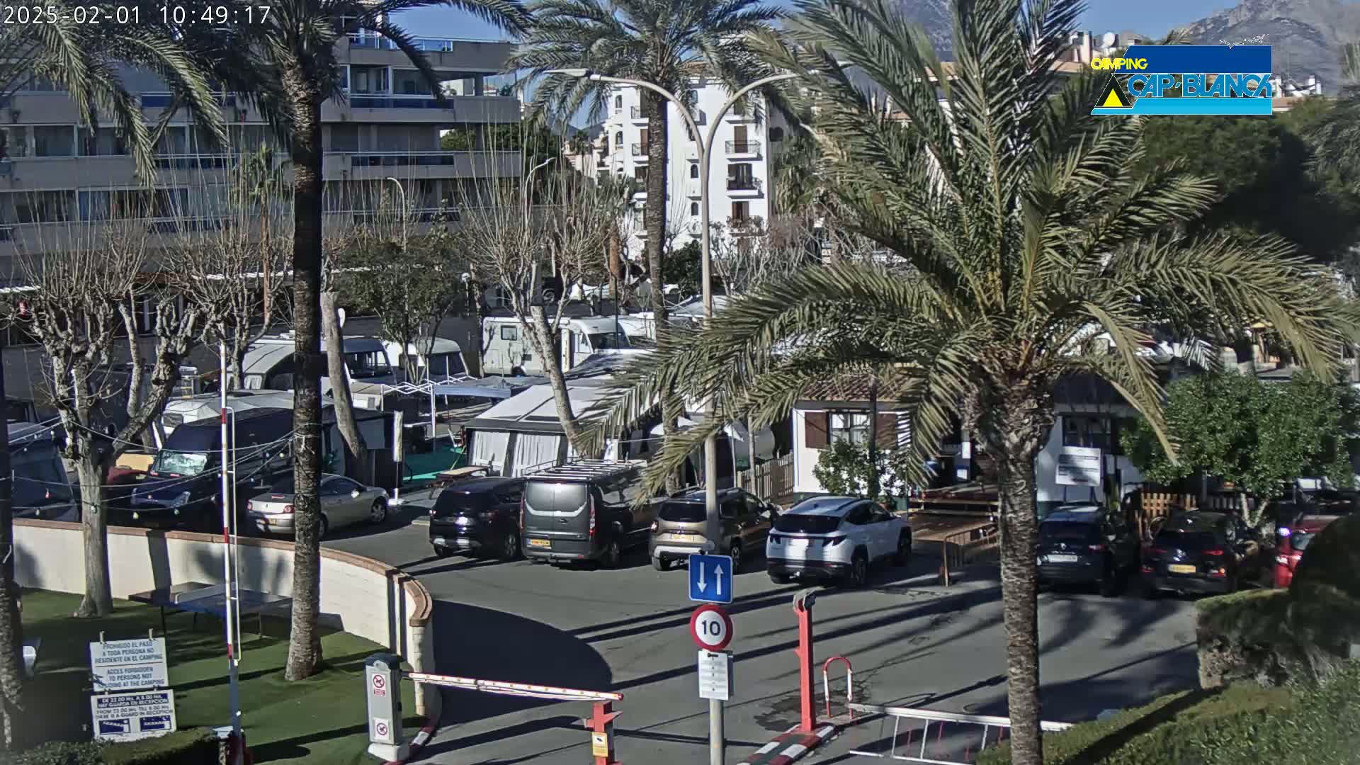 A sunny day at a campground with numerous RVs and cars parked in the lot, surrounded by palm trees and apartment buildings.