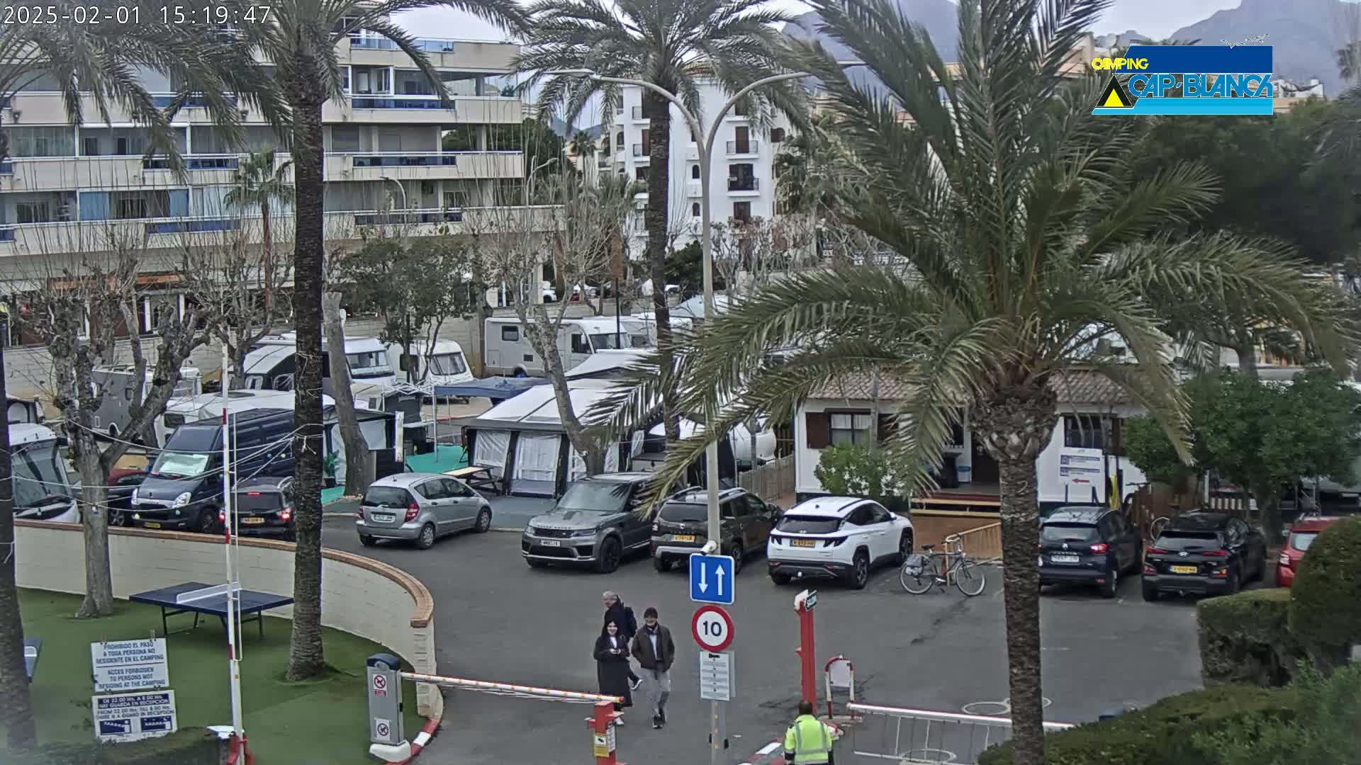 A parking lot filled with RVs and cars under an overcast sky, next to a multi-story building and palm trees.