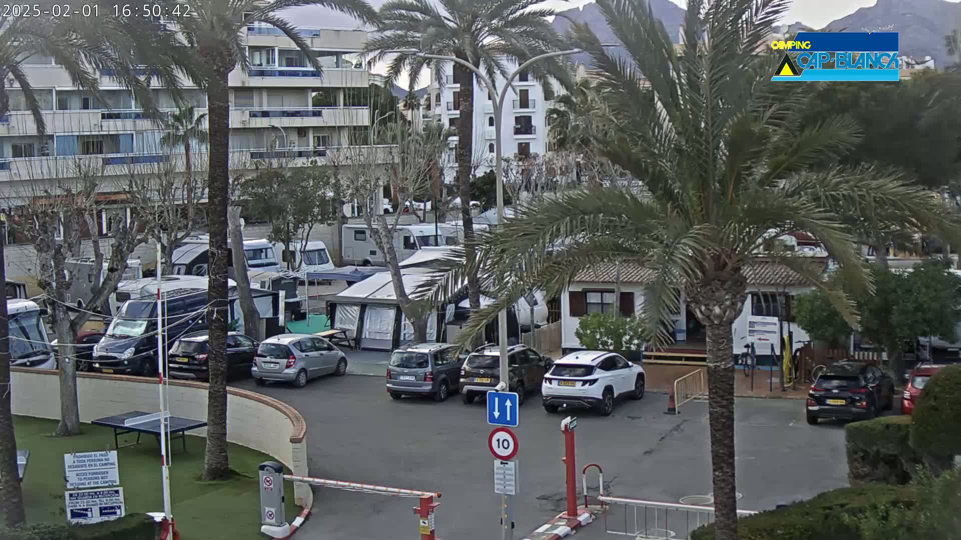 A parking lot filled with recreational vehicles and cars is partially visible, under a cloudy sky, next to a multi-story building and palm trees.