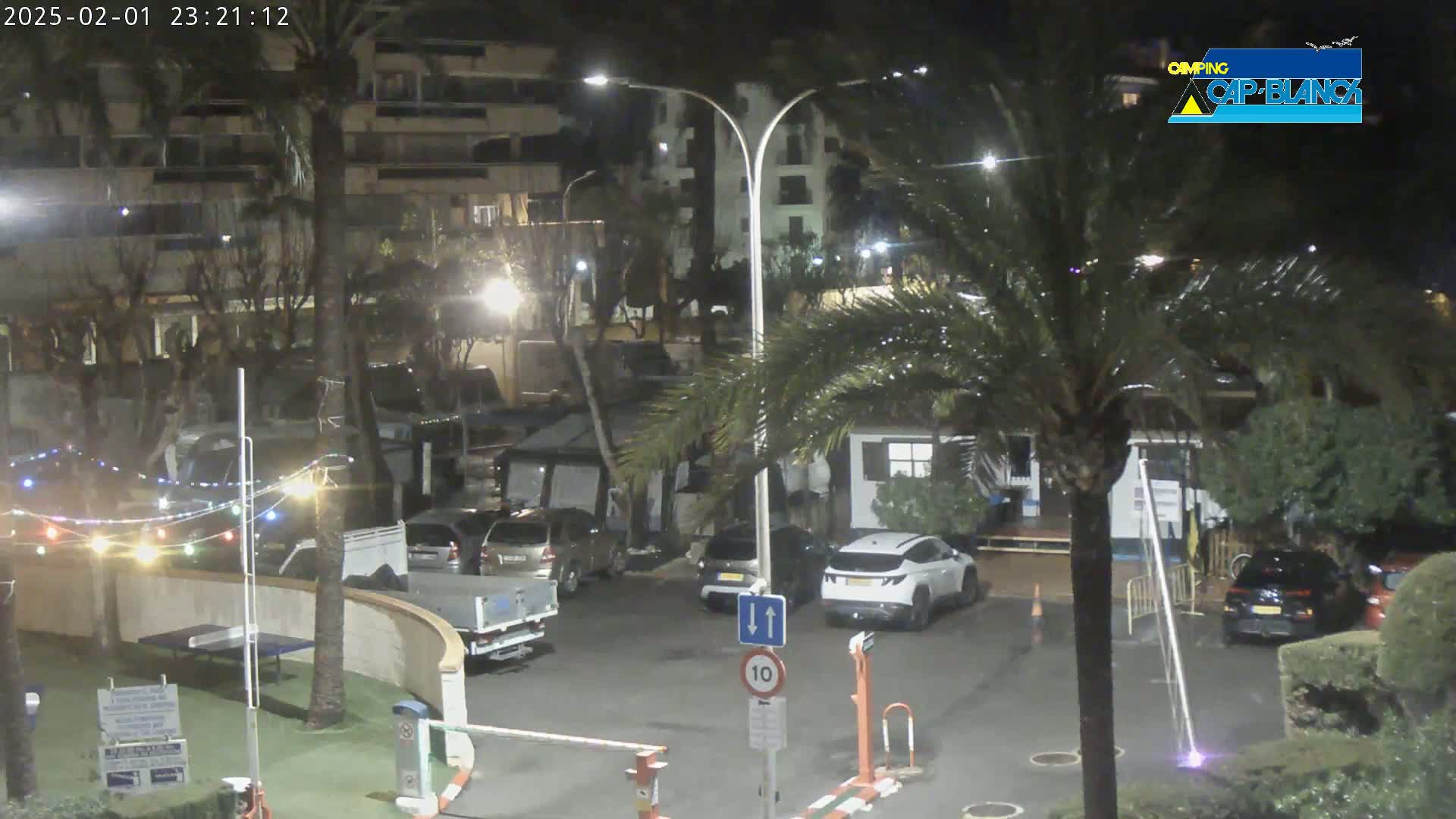 A nighttime view of a parking lot with several cars, a building, palm trees, and string lights, under slightly rainy conditions.