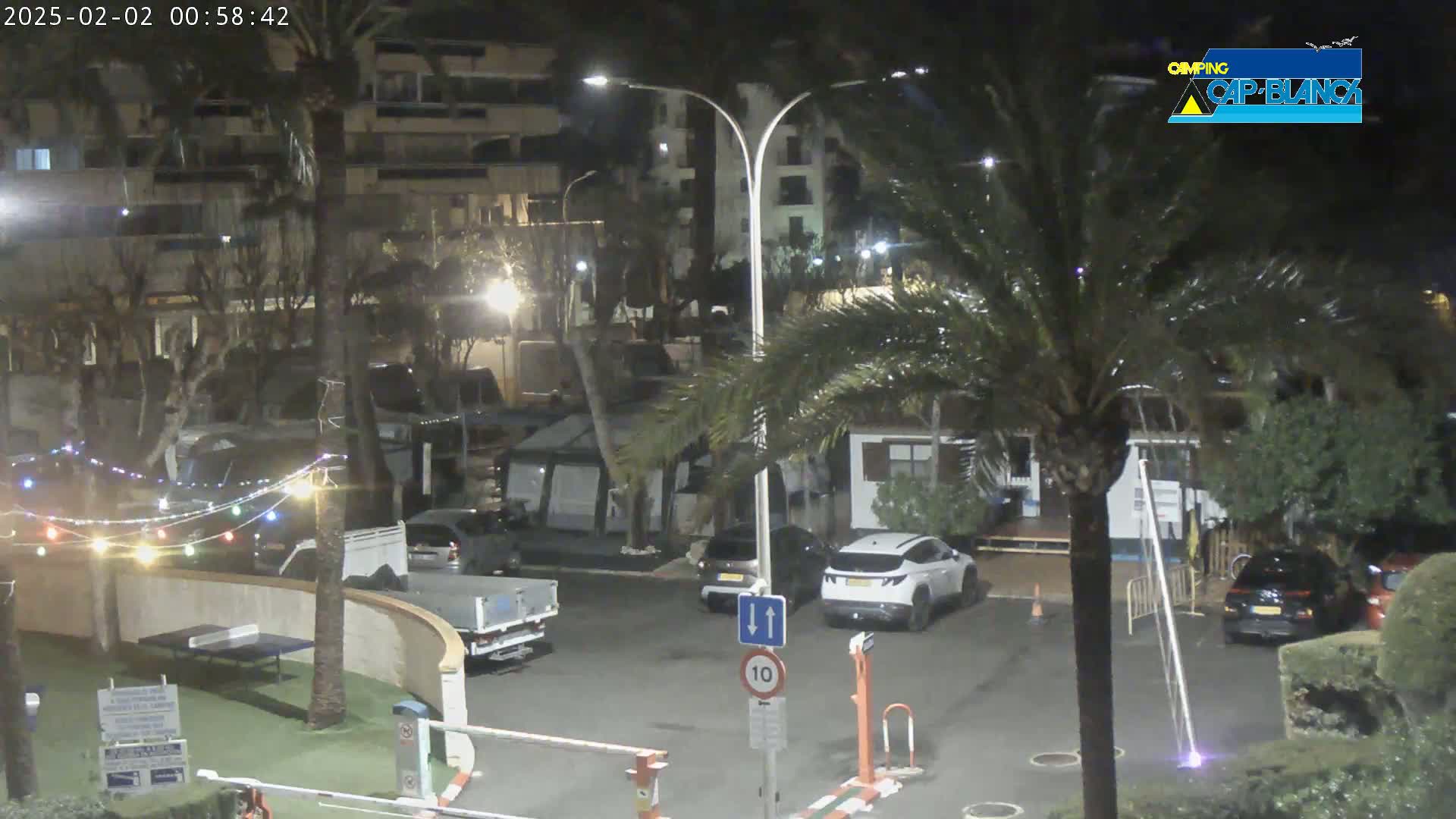 A nighttime view of a parking lot with cars and RVs, surrounded by palm trees and buildings, illuminated by streetlights.