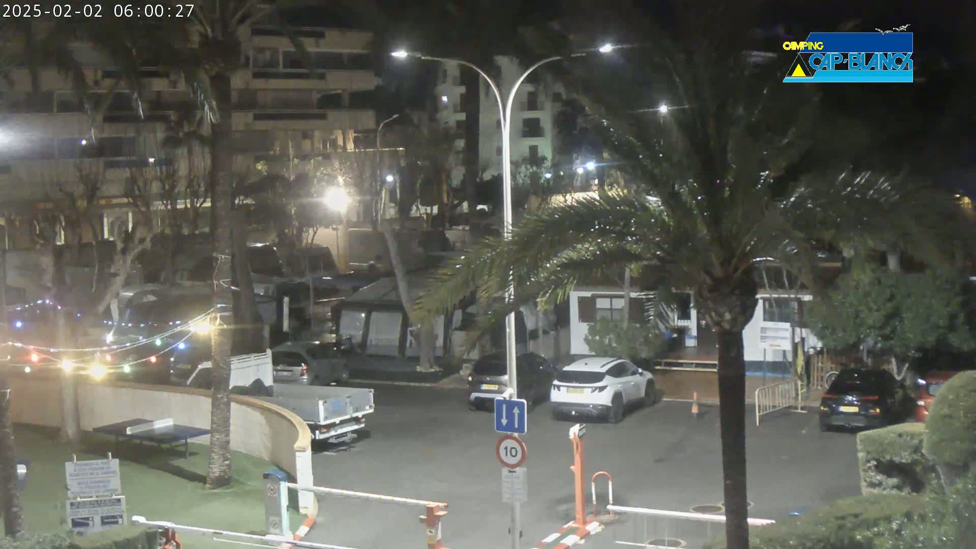 A nighttime view of a parking lot with several cars and palm trees, under artificial light.